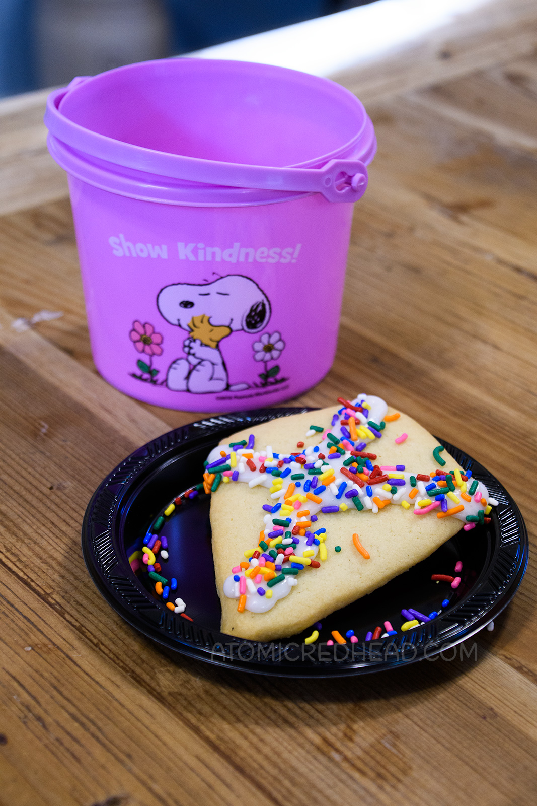 A kite shaped cookie that Guests can decorate.