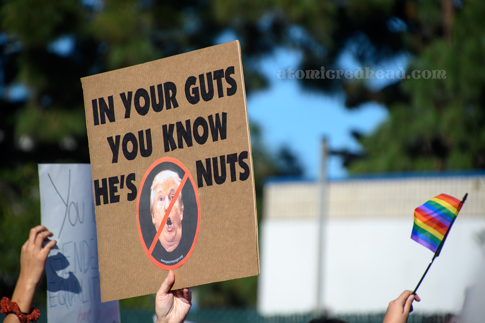 A marcher holds a sign featuring the face of Donald Trump surrounded by a red circle with a slash through it, it reads "In your guts you know he's nuts"