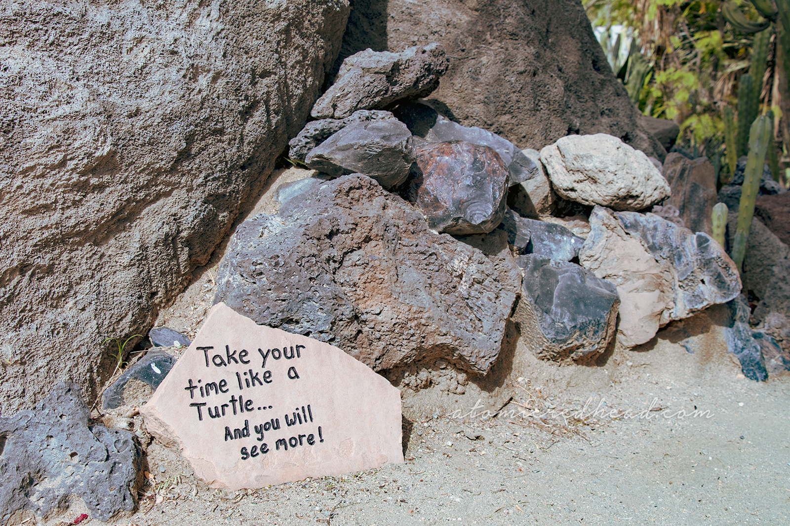 A stone, etched with the words "Take your time like a turtle...and you will see more!"