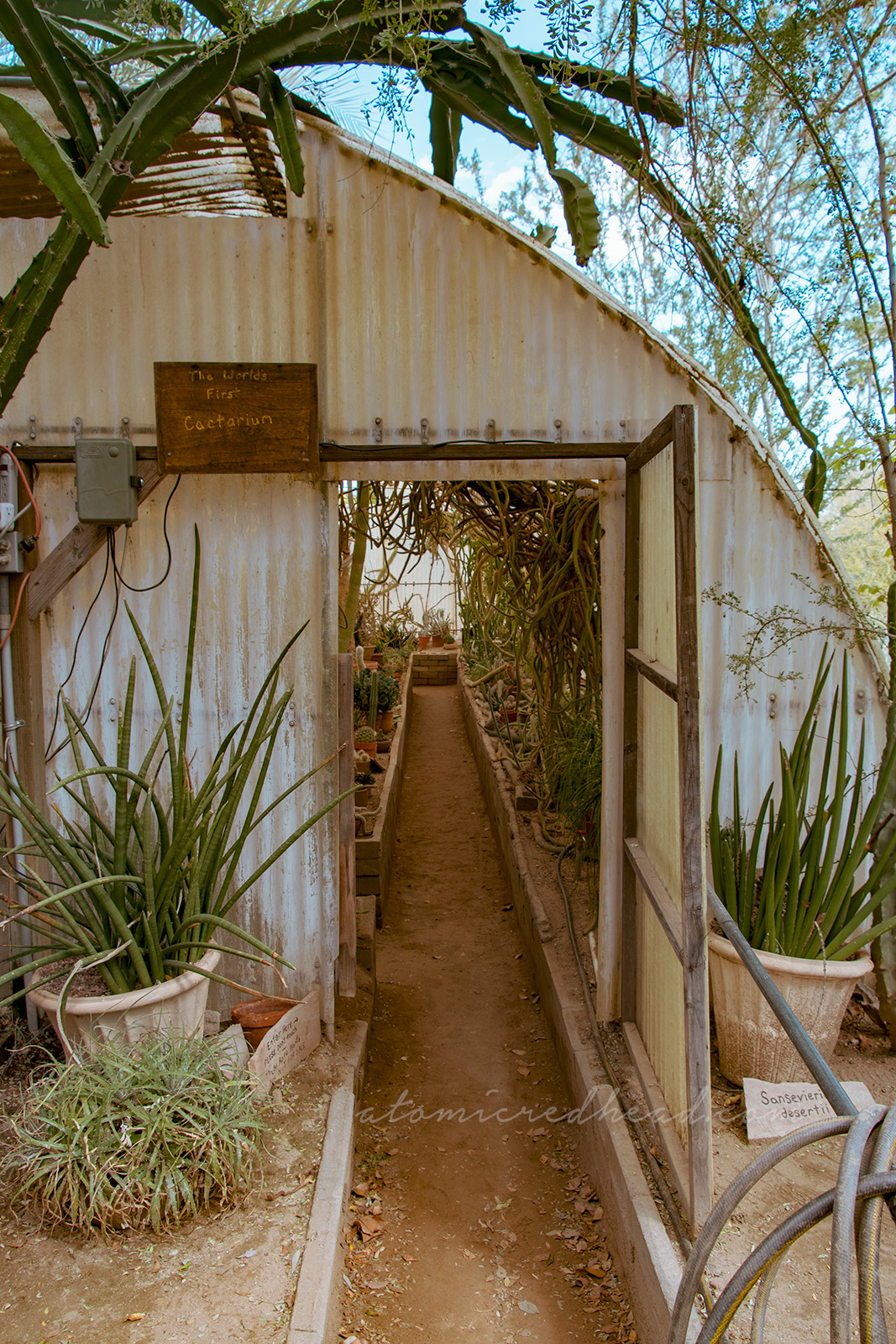 Exterior of the Cactarium, a green house like building with a curved roof.