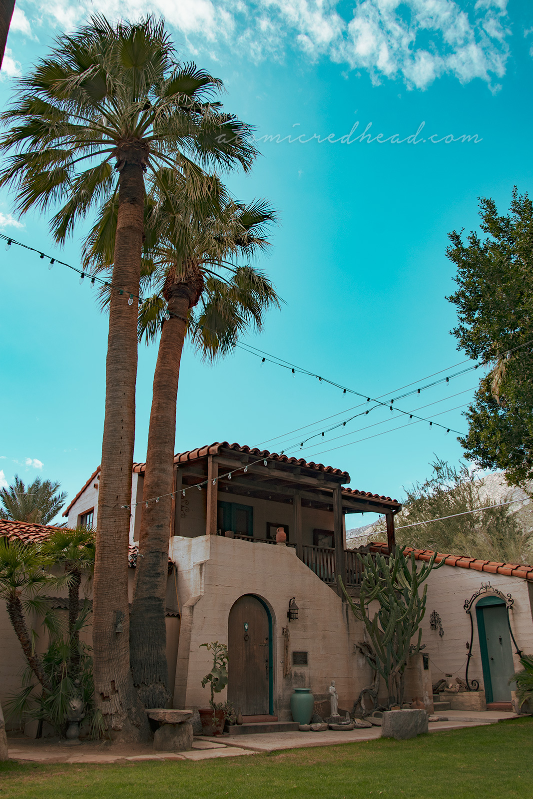 A small Mediterranean style home with two large palm trees.