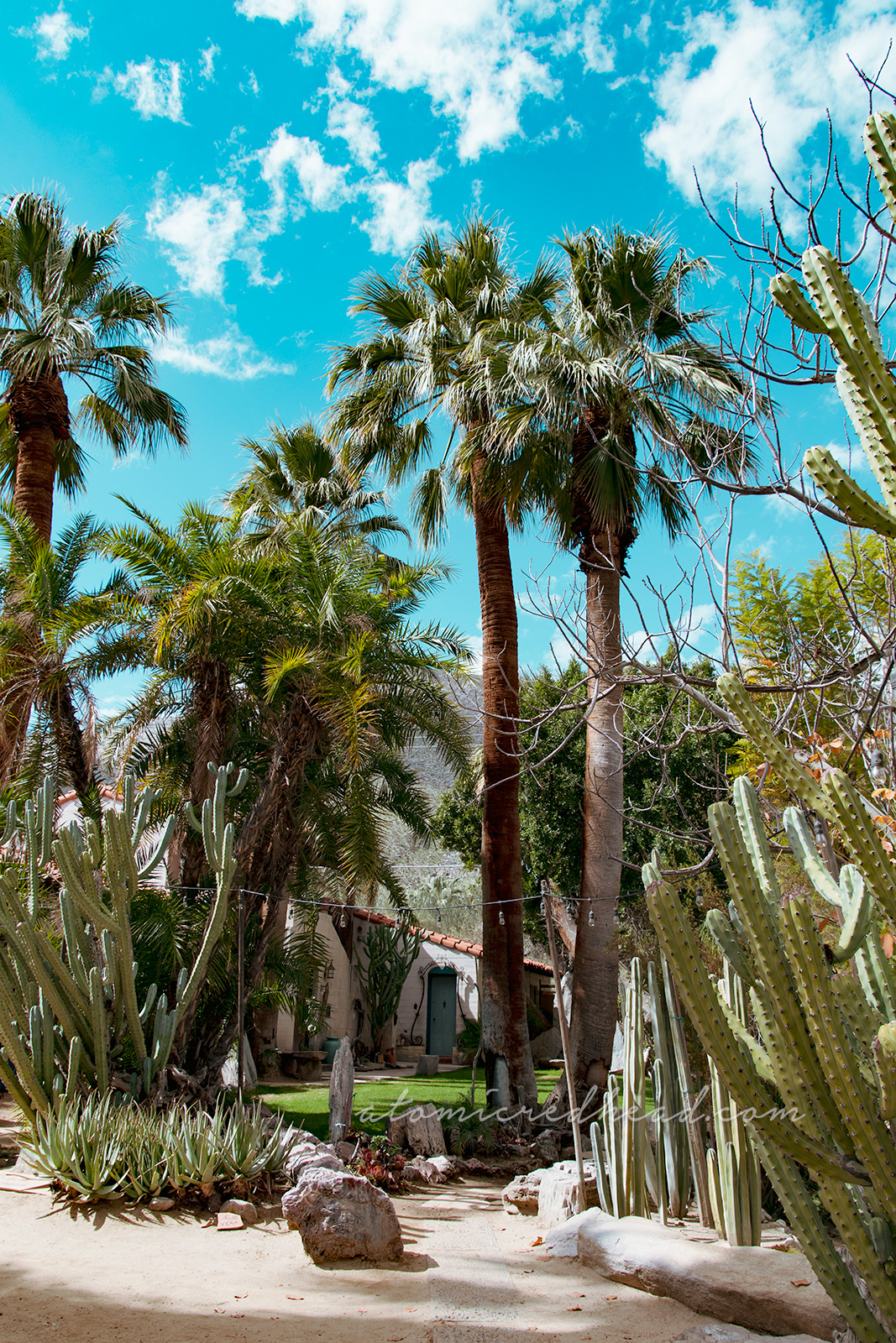 Exploring the Desert Wonderland of Moorten Botanical Garden