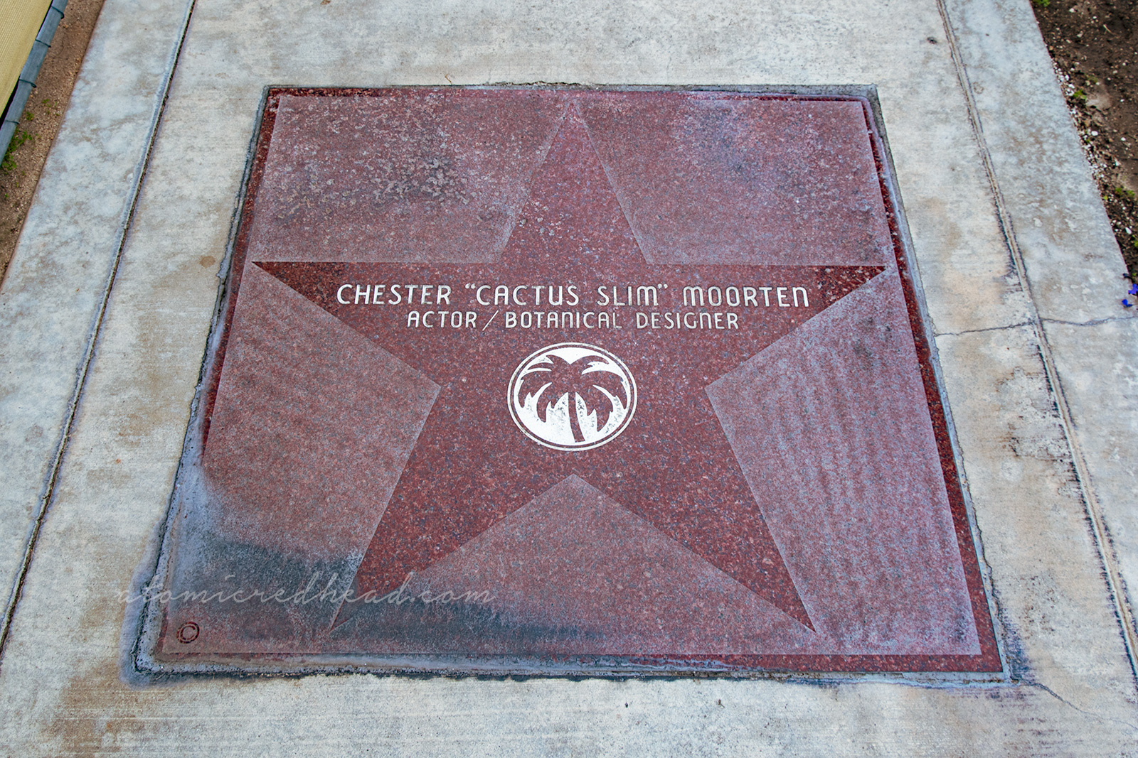A large dark red star reads "Chester 'Cactus Slim' Moorten Actor/Botanical Desginer"
