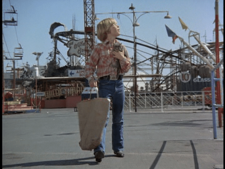 Screencap: A little boy looks around at the various rides.