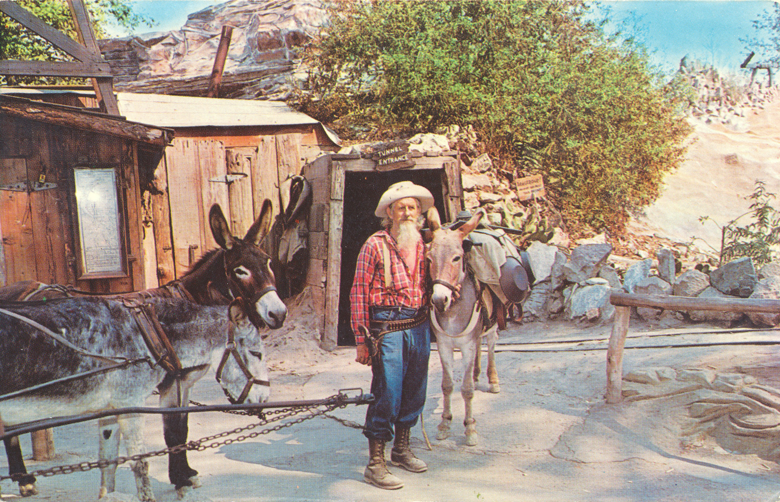 An old miner with a grey beard stands with a pair of donkeys in front of a mine entrance.