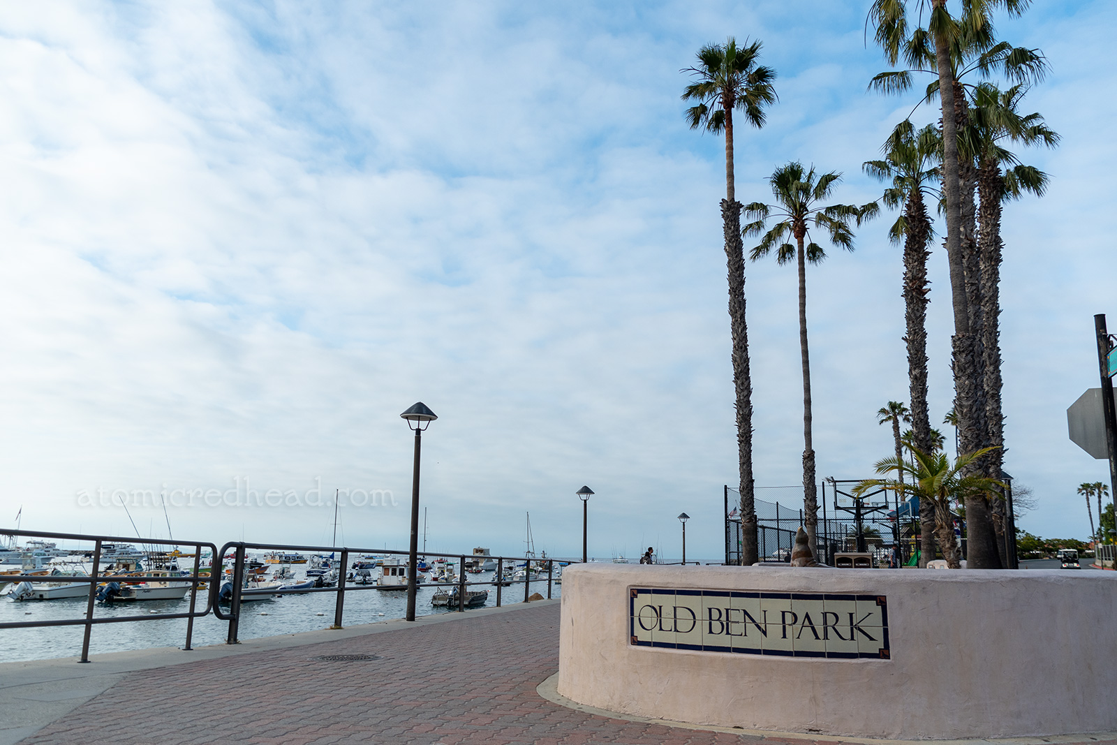 Old Ben Park, along the shores of Avalon. Tall palm trees stand behind a short tan colored wall with tiles reading "Old Ben Park"
