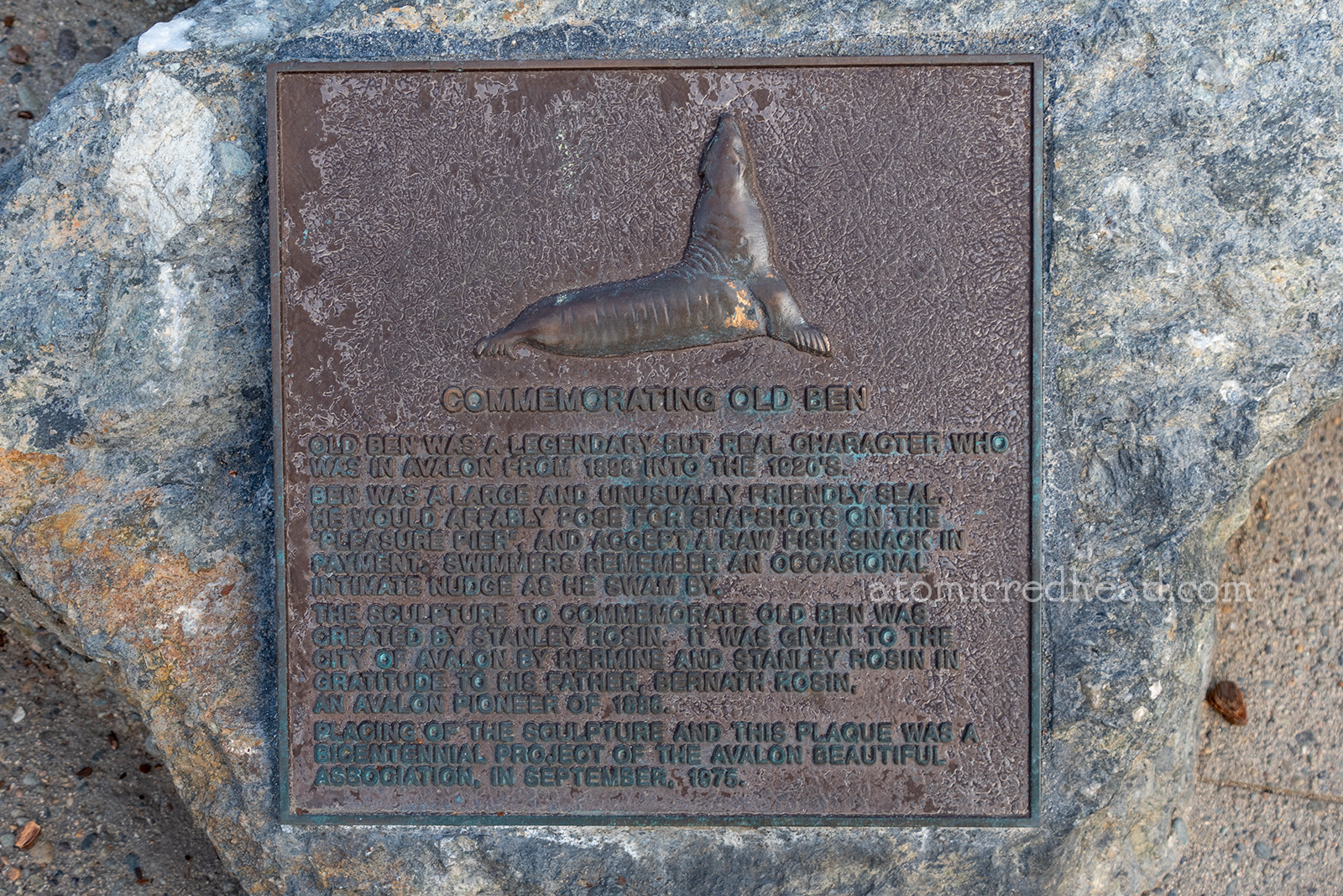 A plaque featuring an image of Old Ben and text reading "Commemorating Old Ben - Old Ben was a legendary but real character who was in Avalon from 1898 into the 1920s. Ben was a large and unusually friendly seal. He would affably pose for snapshots on the 'Pleasure Pier', and accept a raw fish snack in payment. Swimmers remember an occasional intimate nudge as he swam by. The sculpture to commemorate Old Ben was created by Stanley Rosin. It was given to the City of Avalon by Hermine and Stanley Rosin in gratitude to his father, Bernath Rosin, an Avalon pioneer of 1886. Placing of the sculpture and this plaque was a bicentennial project of the Avalon Beautiful Association in September 1975."