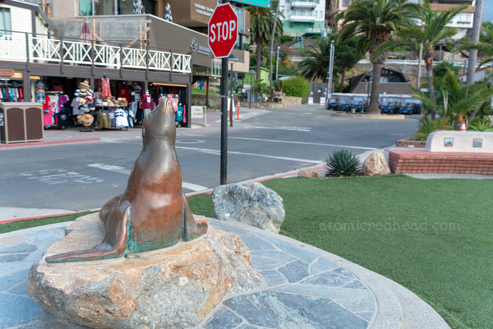 A bronze state of Old Ben with his nose turned up toward the sky, sitting on a rock.