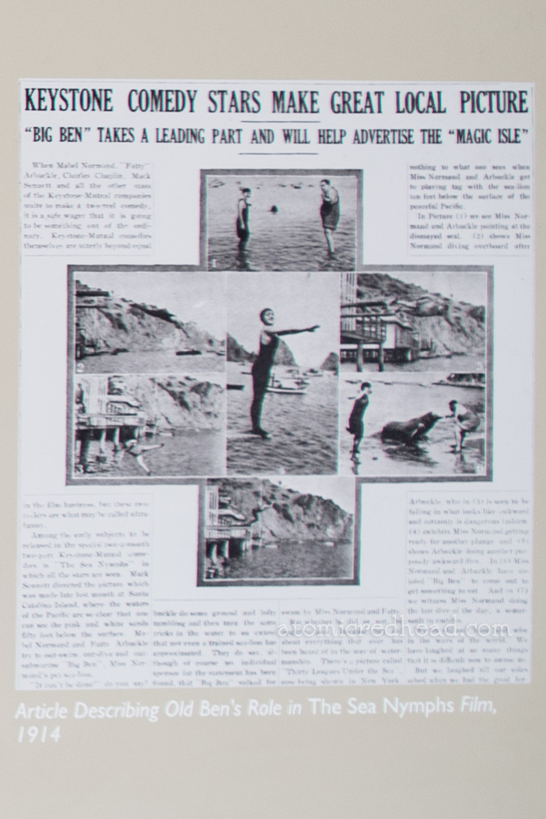Photograph of an article about Old Ben in the Fatty Arbuckle movie, including a black and white image of Arbuckle feeding Old Ben.