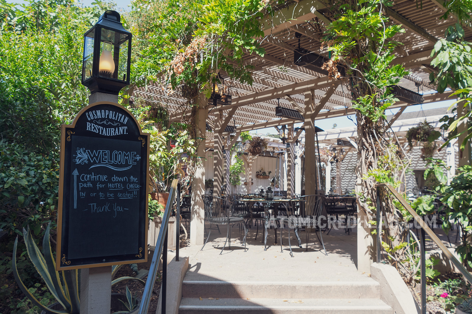 Outside courtyard, with lush green leaves creating natural shade for the tables. 
