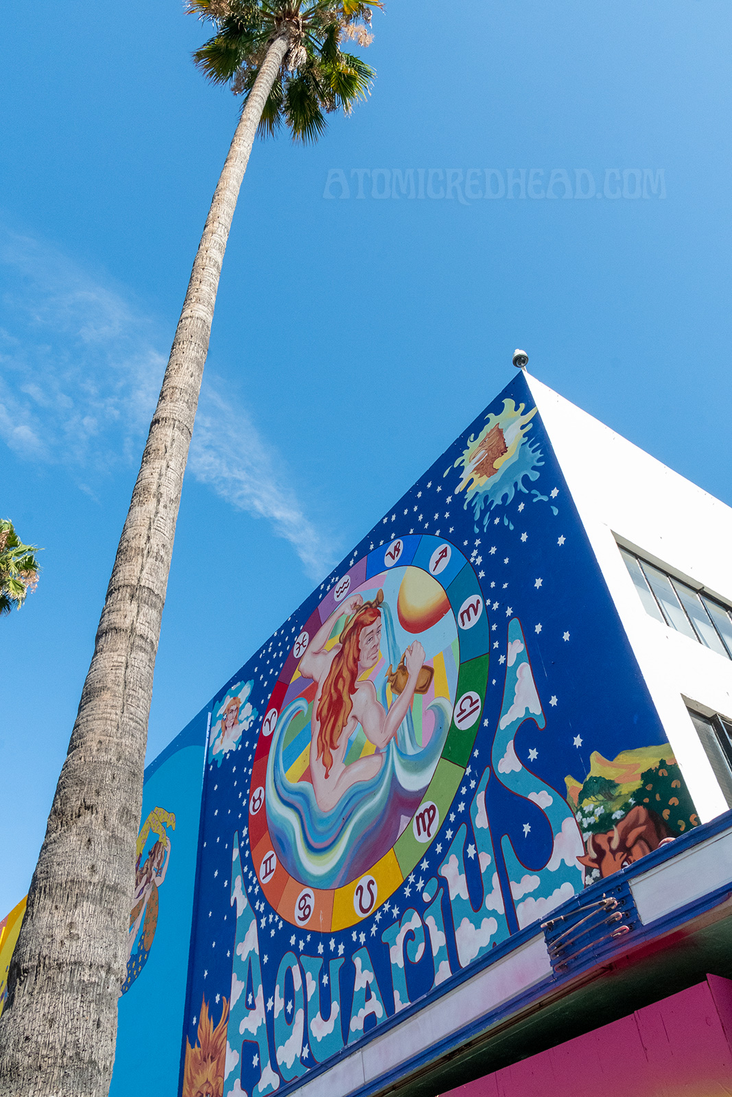 Close-up of the largest painting, a nude man with long red hair, pouring water from pitchers, he sits in a circle that is surrounded by astrological signs. "Aquarius" is painted below him.