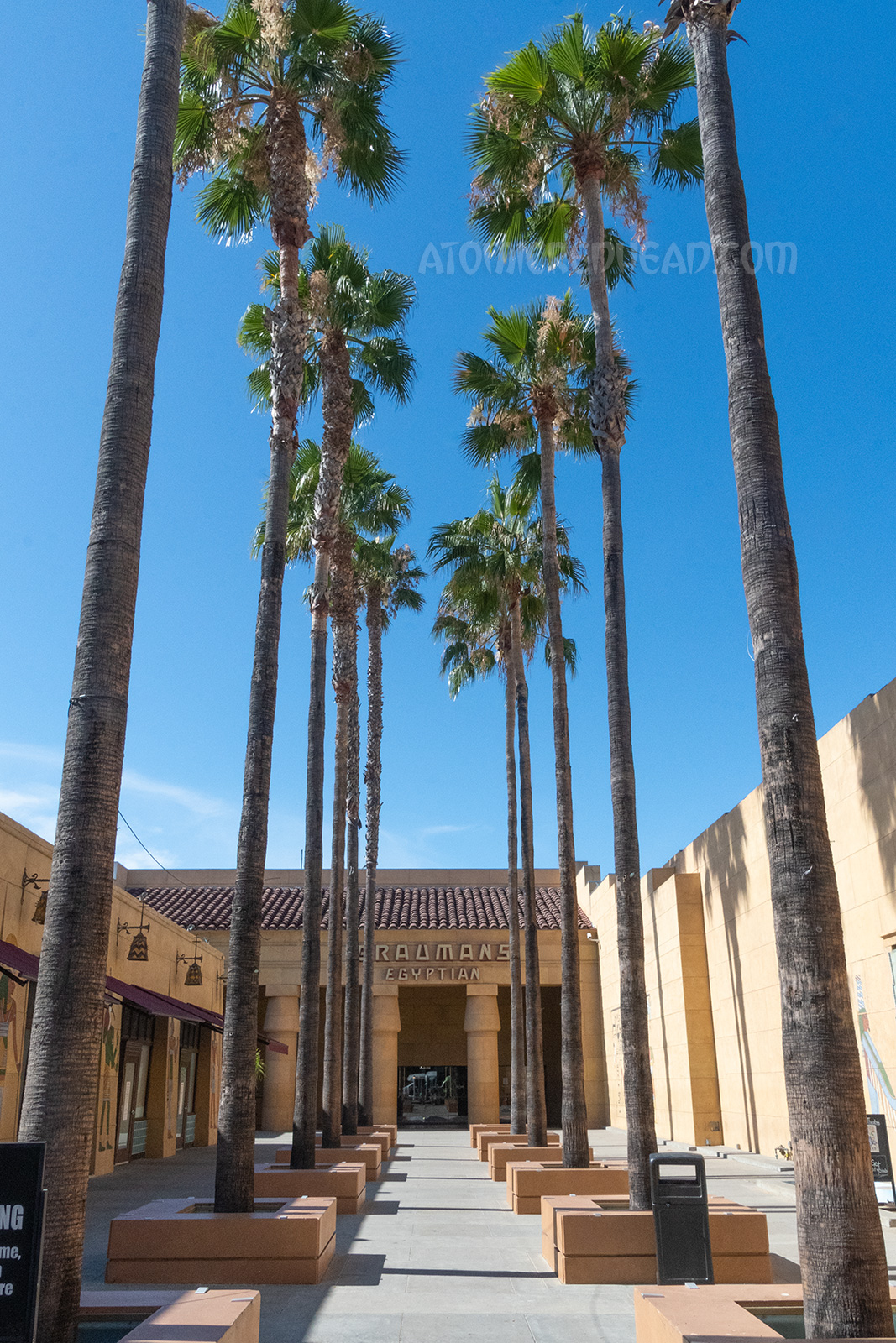 The forecourt of the Egyptian, which features tall palm trees lining a sandstone colored open air area.