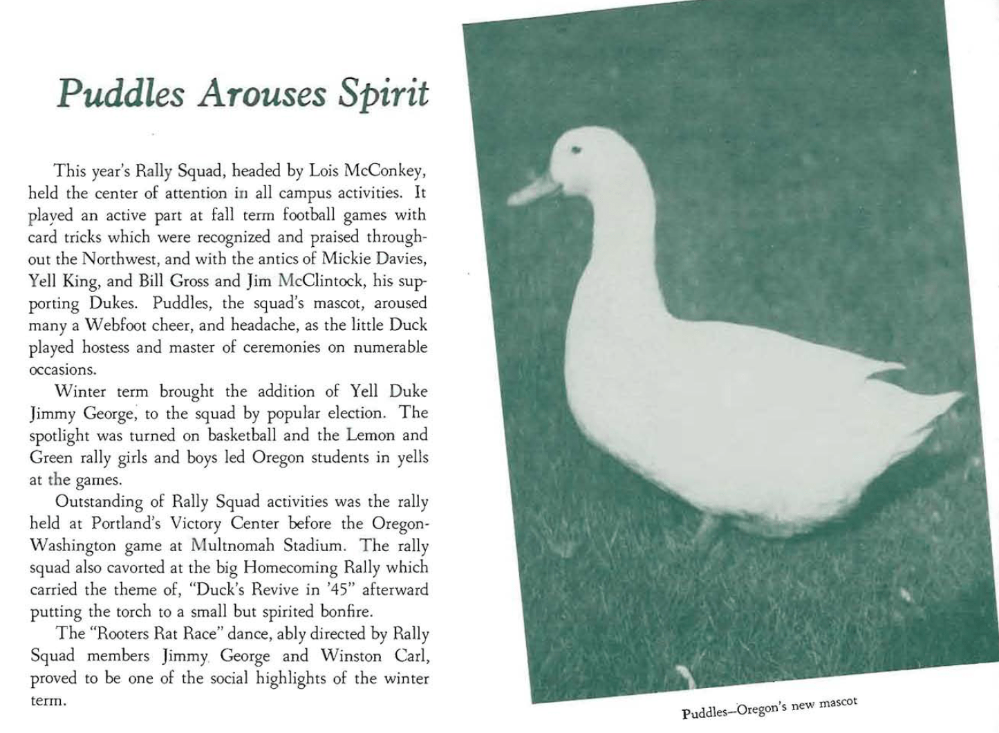 Scan from the 1946 yearbook, headline reads "Puddles Arouses Spirit" with a photo of a white duck, the caption reads "Puddles - Oregon's new mascot" portion of the copy next to the photo reads "Puddles, the squad's mascot, arounsed many a Webfoot cheer, and headache, as the little Duck played hostess and master of ceremonies on numerable occasions.