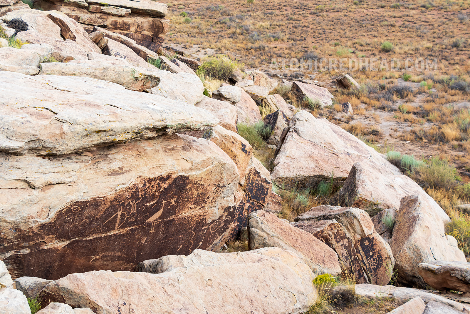 Petroglyphs made by Native Americans, including an image of a large bird with a human like figure in its beak. 