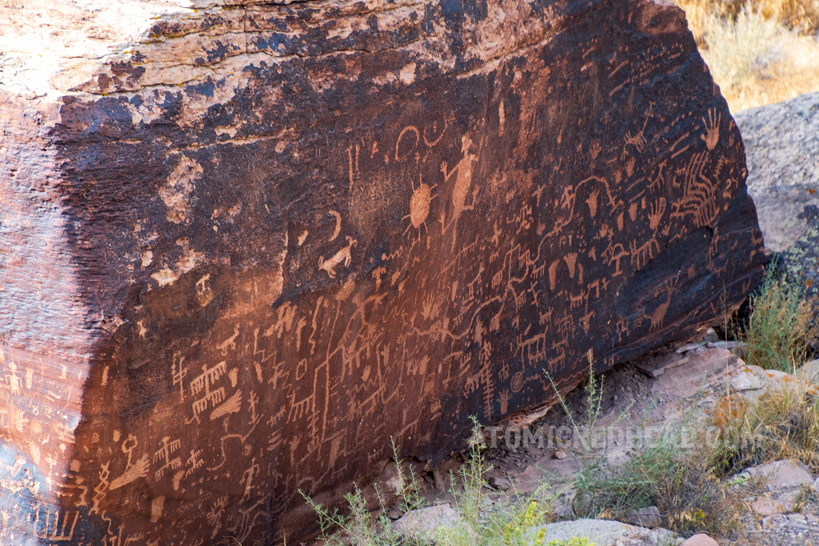 Petroglyphs made by Native Americans, including what may be a lizard, a bird, many zig-zag designs and handprints.