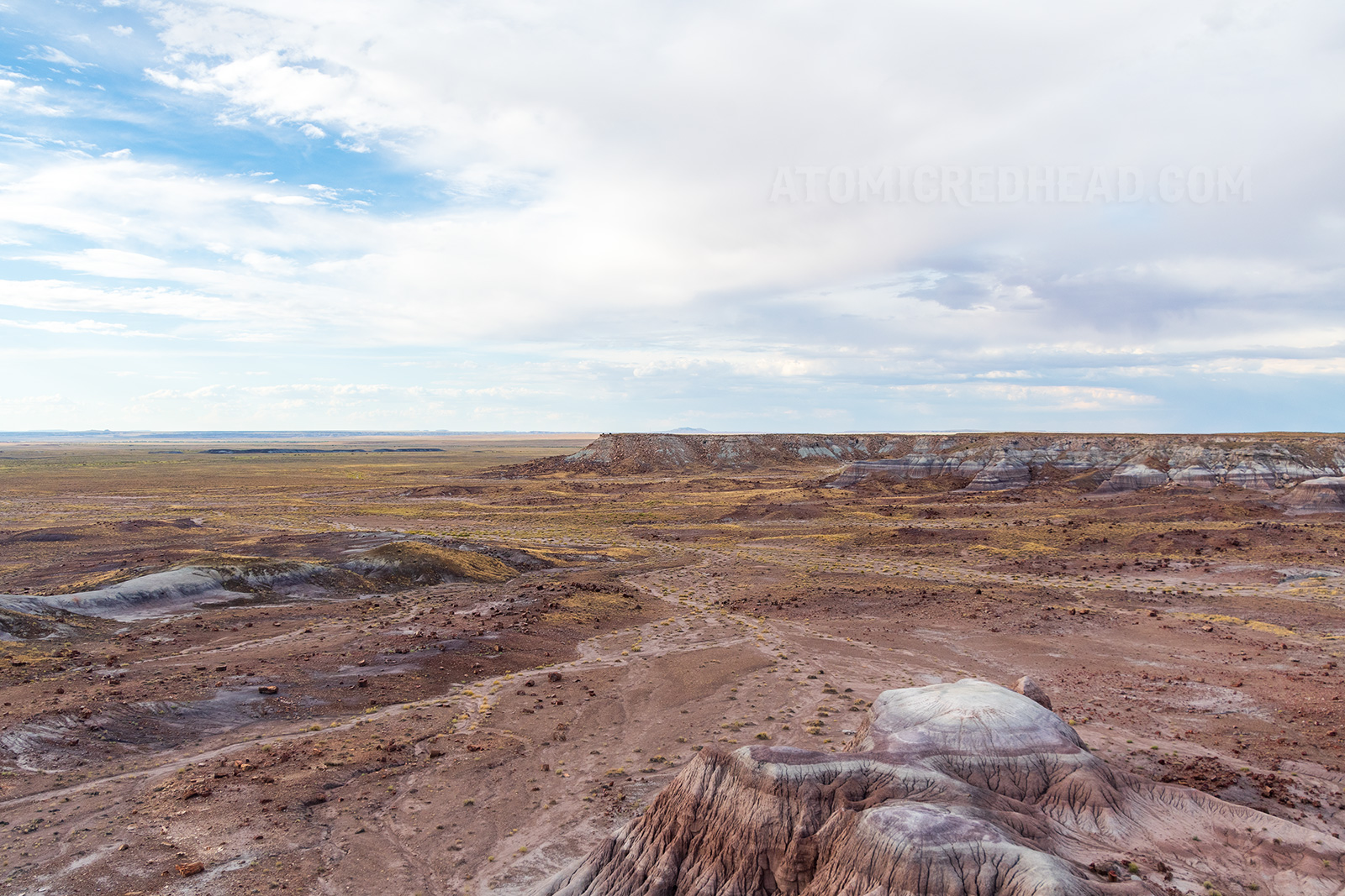 The Petrified Forest, an arid landscape of valleys and plateaus of warm browns and tans. 