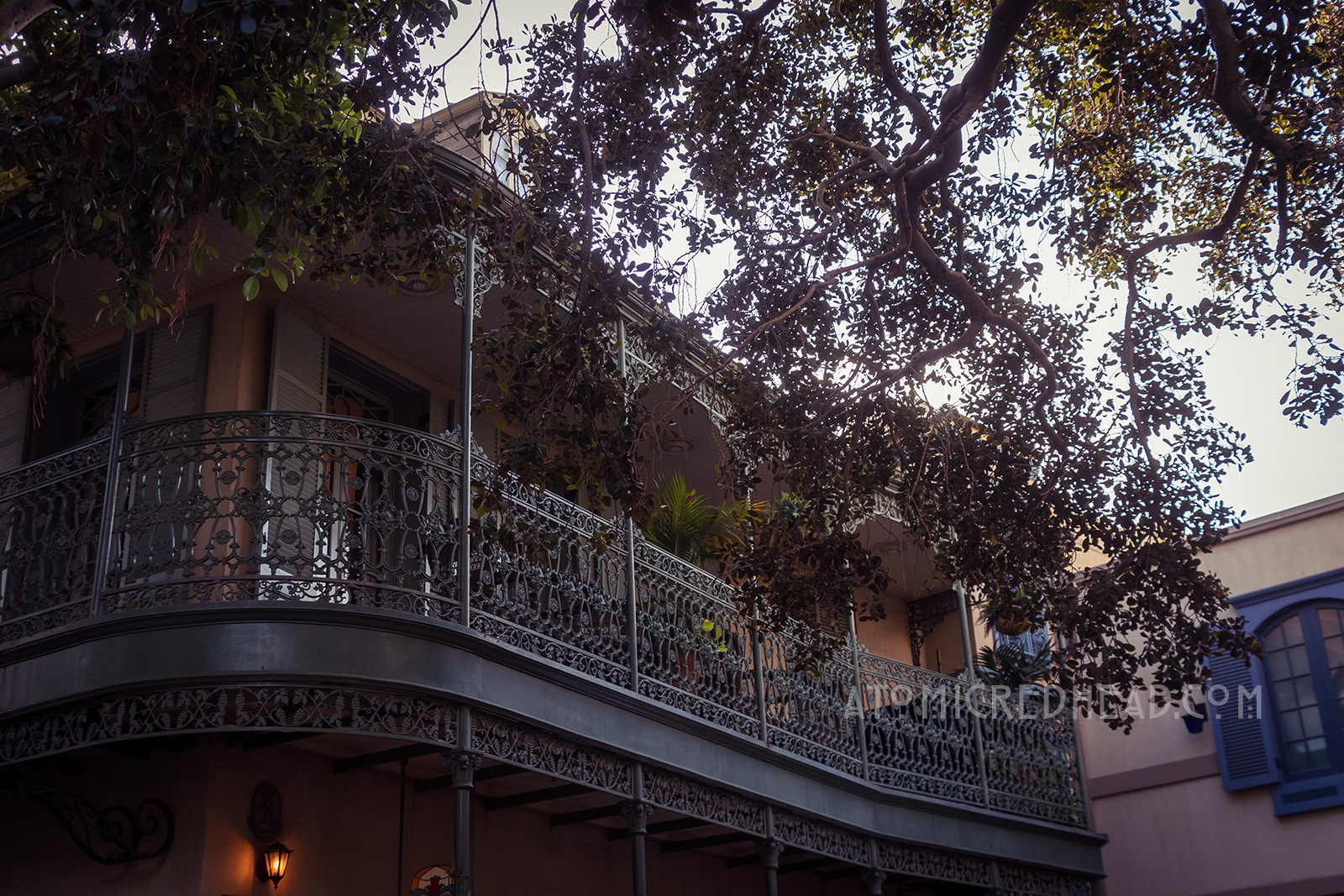 A dark green wrought iron balcony peeks from behind a tree.