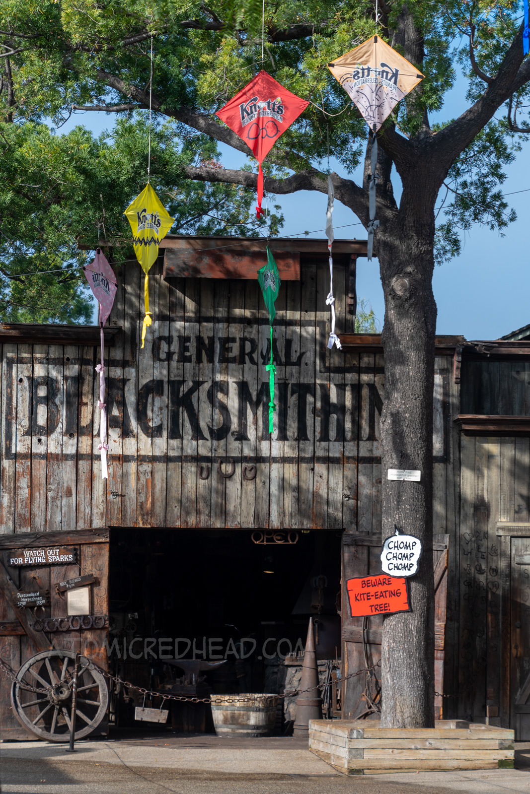 Ghost Town's Blacksmith, with a Kite Eating Tree out front, which has various trees in its branches.