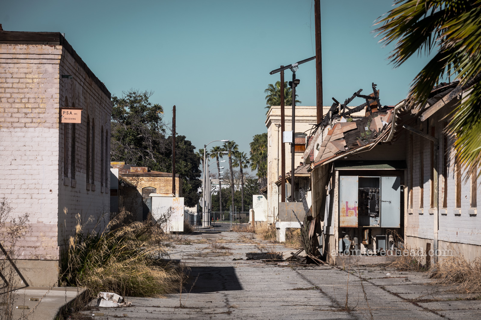 Down an alleyway, which has weeds growing in the cracks of the pavement, a building on the right has suffered from a fire.