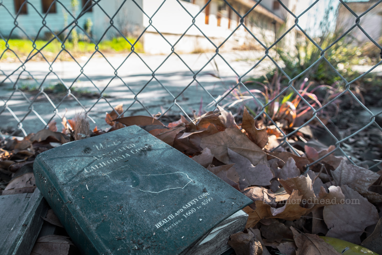 A molding copy of California's Health and Safety Code sits in a pile of leaves by a chainlink fence.