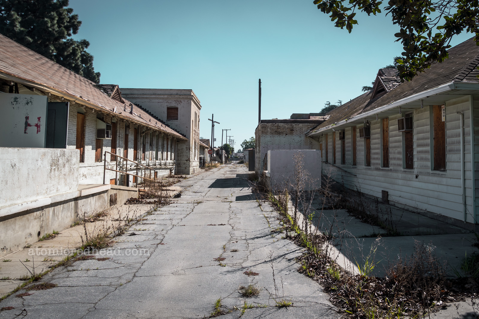 Down an alleyway between two buildings. Weeds grow from cracks in the pavement. The windows have been boarded up.