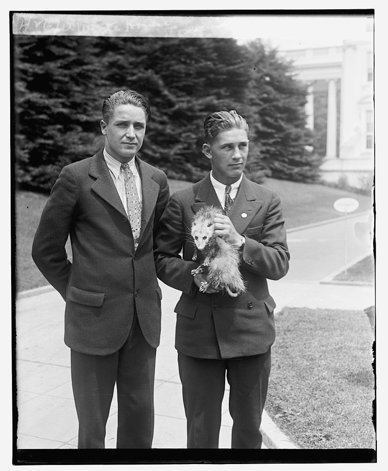 Two men in suits stand on the lawn of the White House, one holds an opossum. 