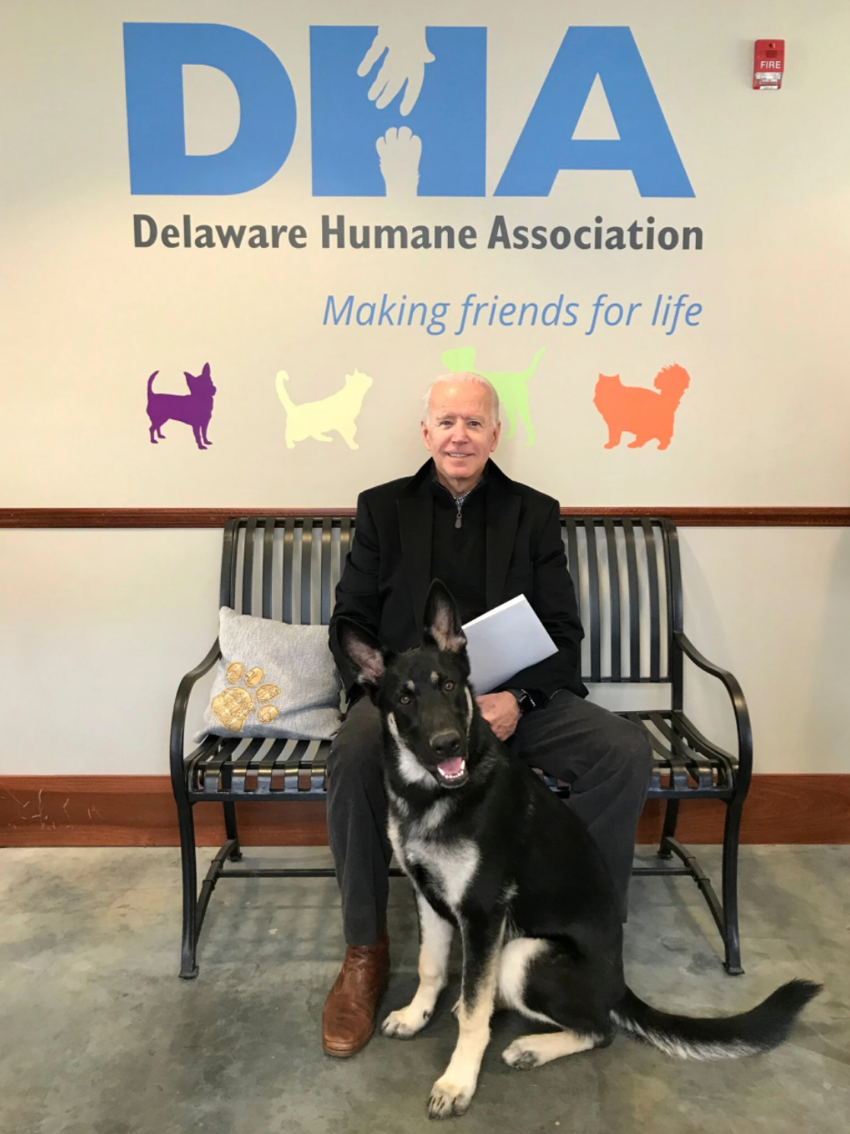 Joe Biden sits on a bench with his new dog, Major. On the wall large blue letters read "DHA" below in smaller lettering reads "Delaware Human Association Making friends for life."