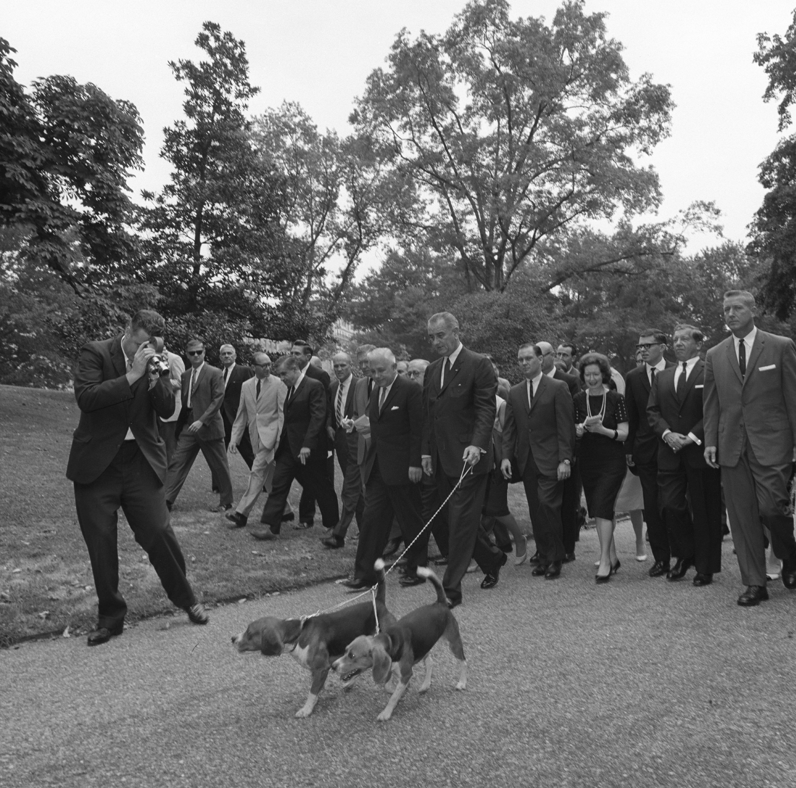 President Johnson walks two beagles with the press following.