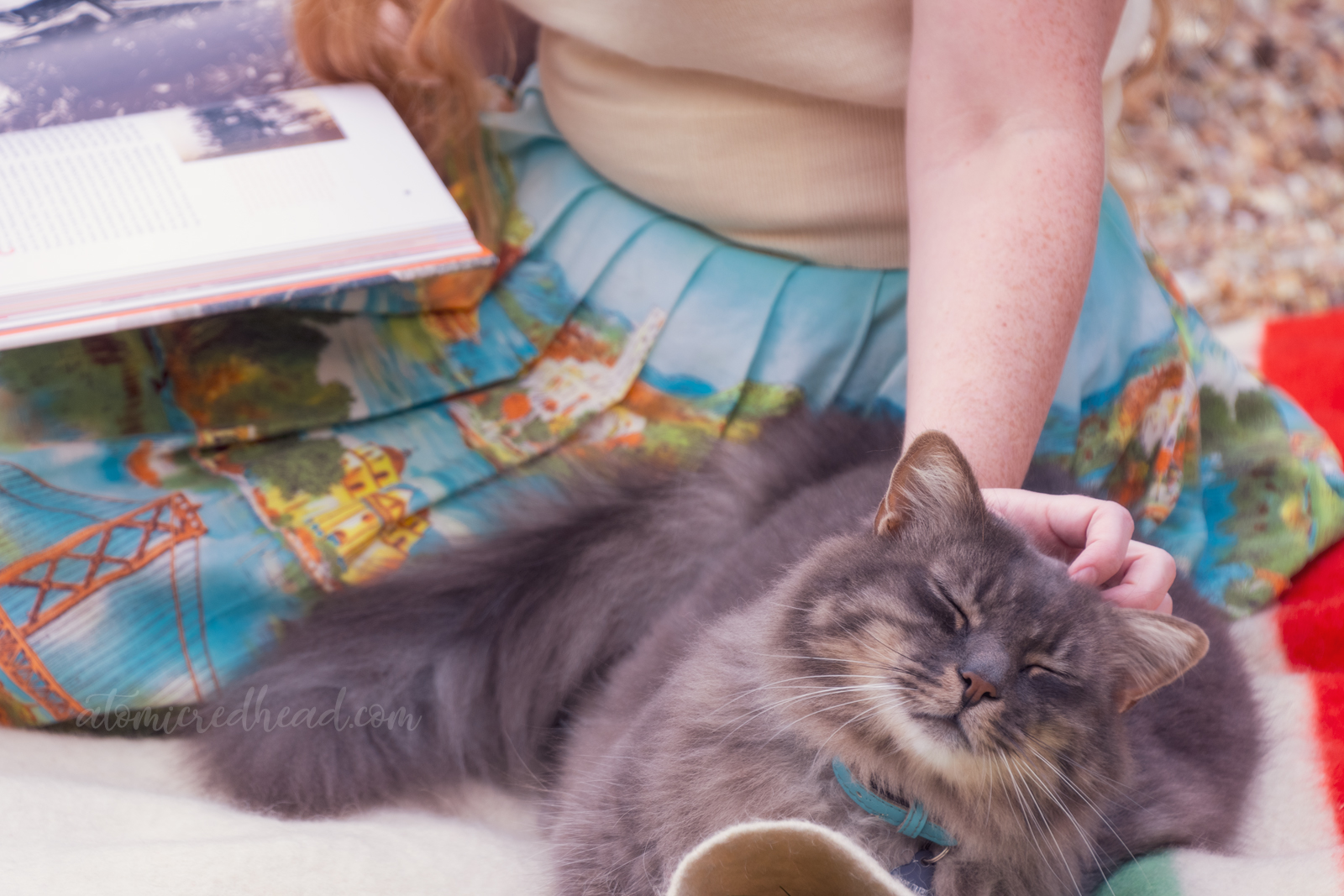 Close-up of petting Colonel Whiskers.