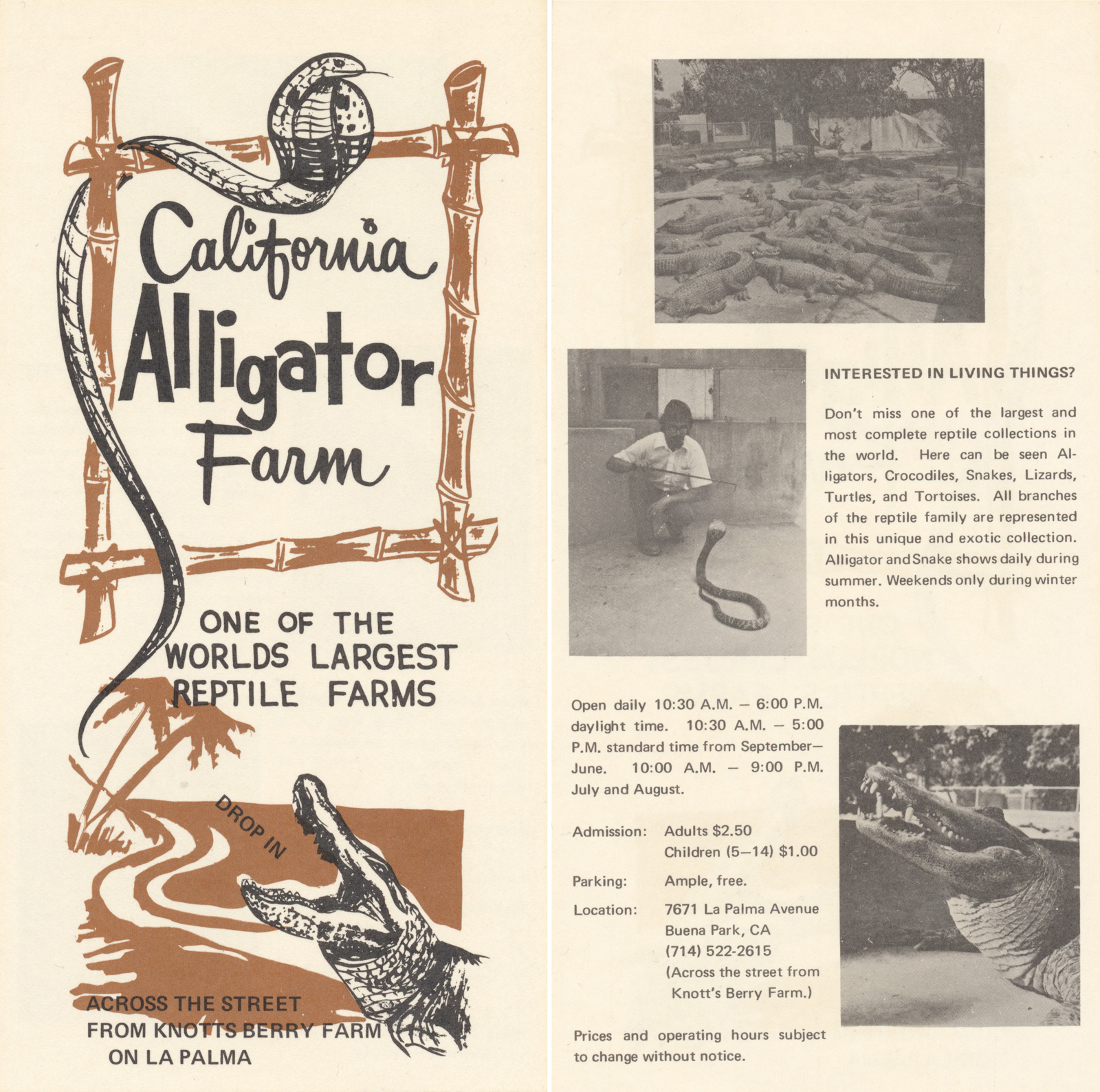 Flyer featuring illustrations of a cobra and alligator reading "California Alligator Farm One of the Worlds Largest Reptile Farms Drop In Across the Street from Knott's Berry Farm on La Palma" Black and white photos feature various gators huddled together, a man bating a snake and a close up of a gator. Text reads "Interest in living things?" Don't miss one of the largest and most complete reptile collections in the world. Here can be seen Alligators, Crocodiles, Snakes, Lizards, Turtles, and Tortoises. All branches of the reptile family are represented in this unique and exotic collection. Alligator and Snake shows daily during summer. Weekends only during winter months. Open daily 10:30 A.M. - 6:00 P.M. daylight time. 10:30 A.M. - 5:00 P.M. standard time from September - June. 10:00 A.M. - 9:00 P.M. July and August. Admission: Adults $2.50 Children (5-14) $1.00 Parking: Ample, free. Location: 7671 La Palma Avenue Buena Park, CA (714) 522-2615 (Across the street from Knott's Berry Farm)