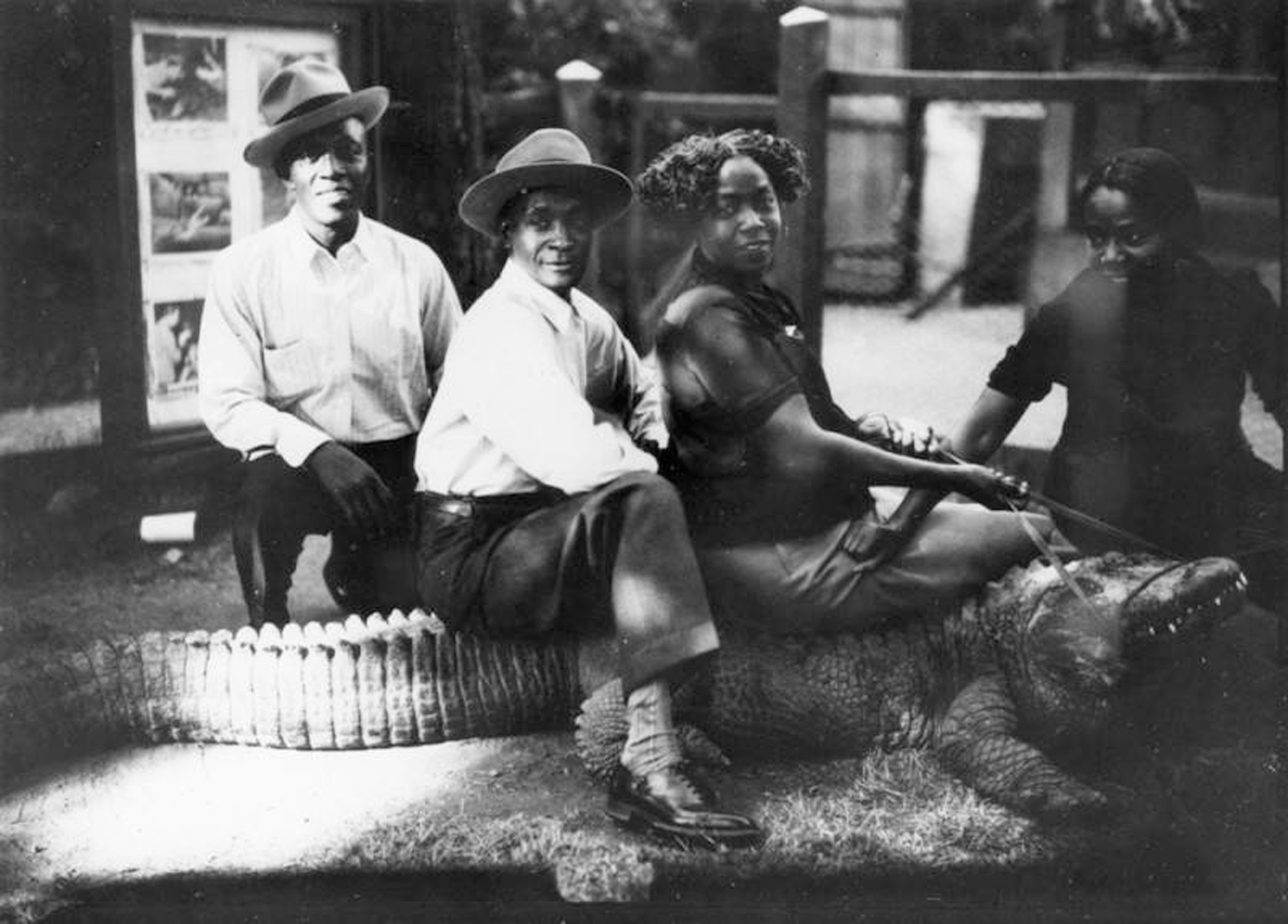 Four siblings sit astride an alligator at the California Alligator Farm. Left to right: Tom Rhodes, Earl Rhodes, Sadie Rhodes Henry, Mamie Rhodes Jackson.