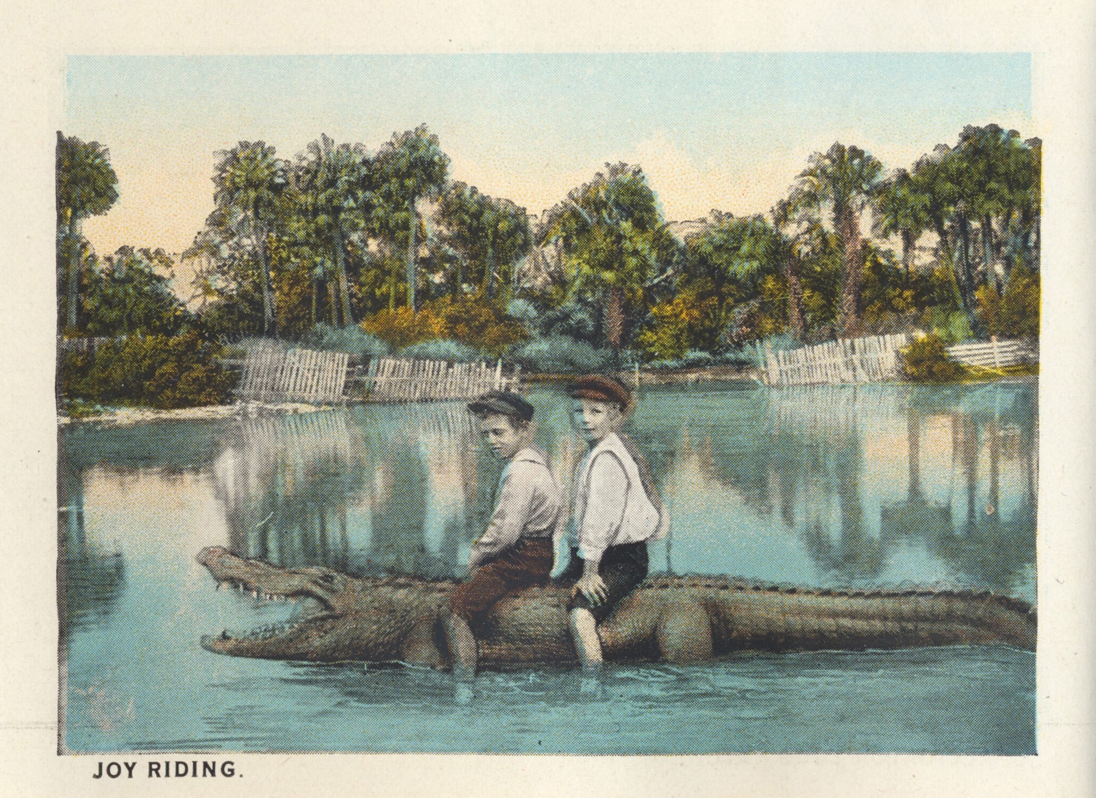 Two little boys sit atop a gator in a pool. Caption reads "Joy riding."