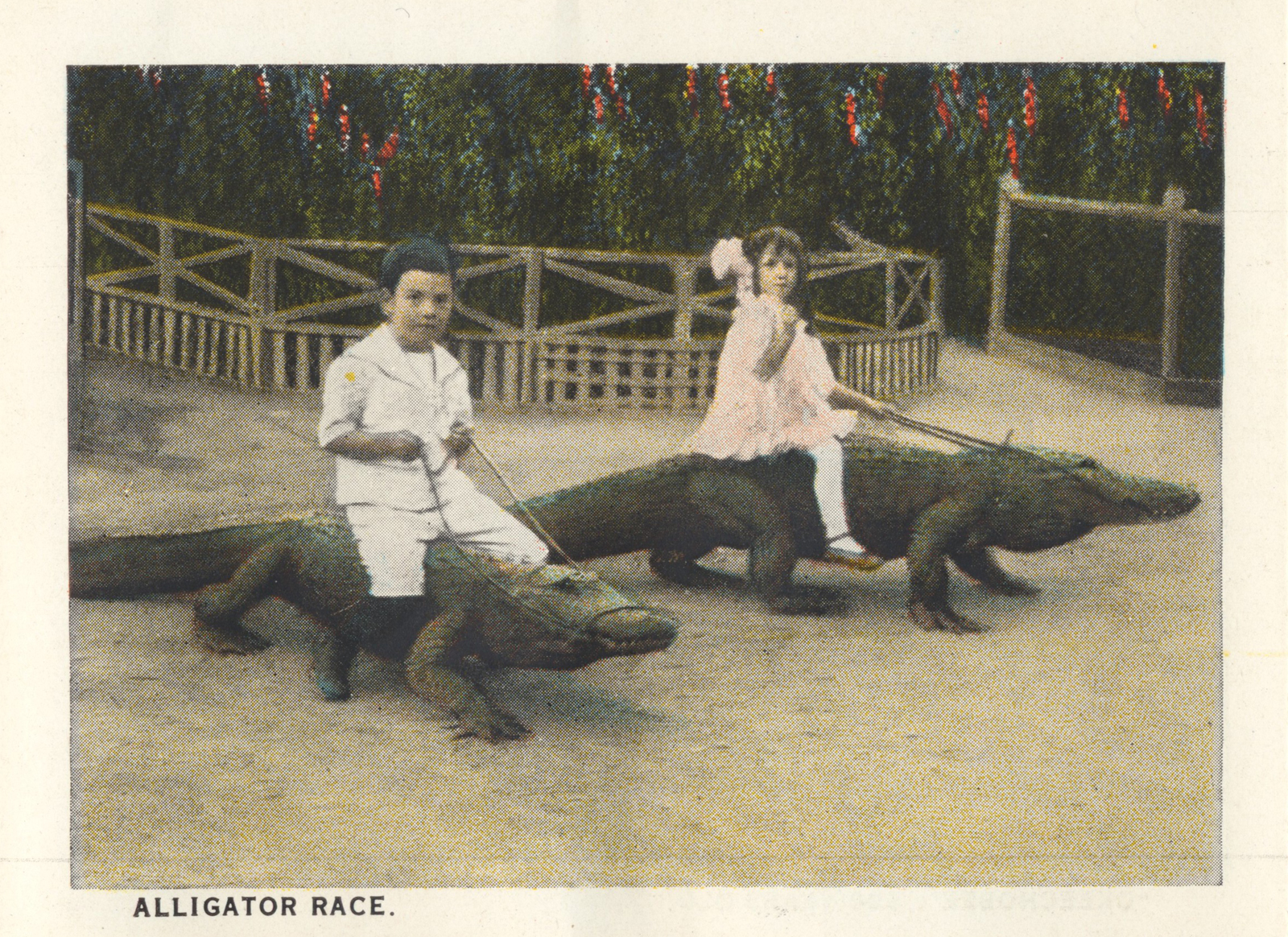 Two children each sit atop their own gator, holding reins. Caption reads "Alligator race."