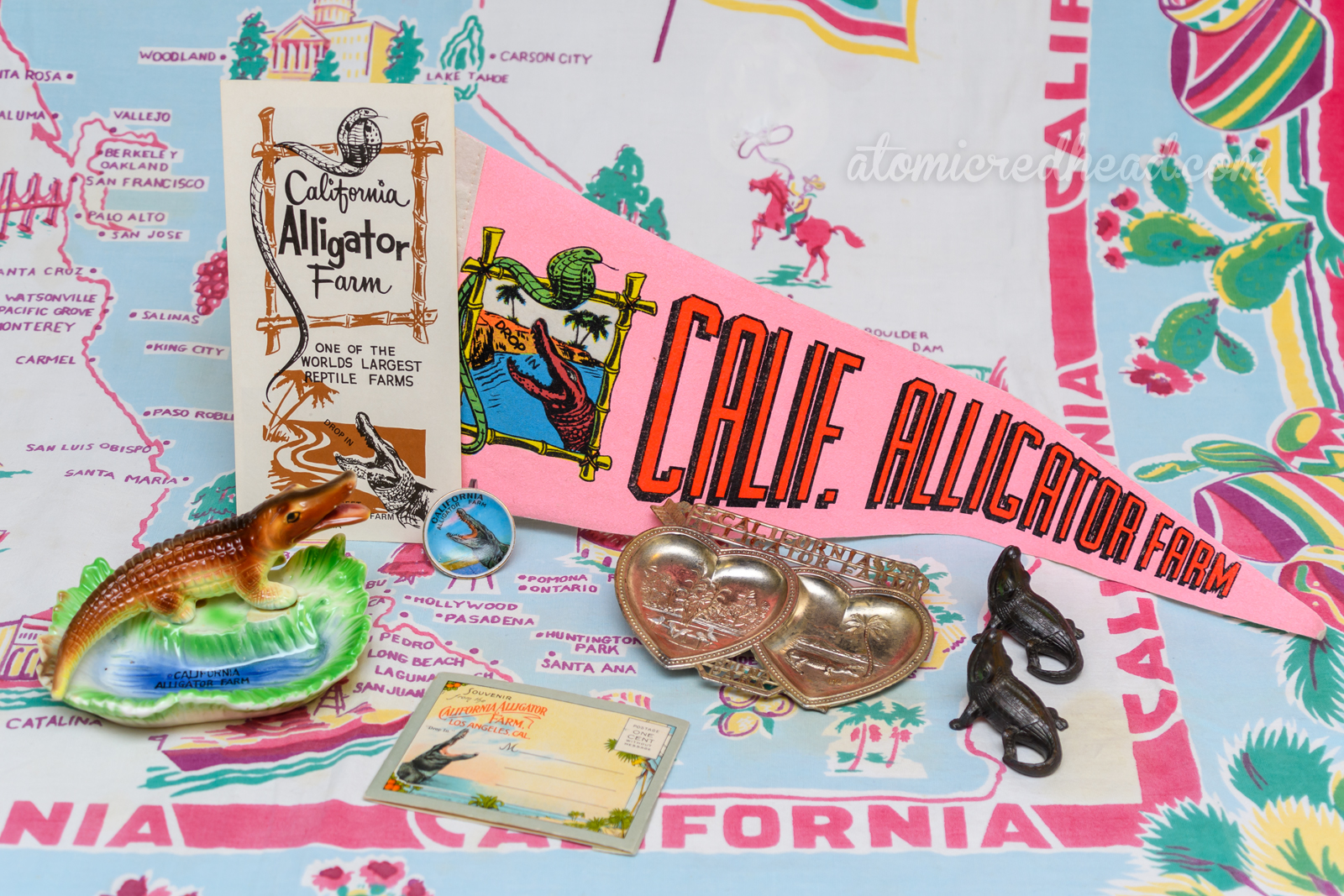 My California Alligator Farm souvenir collection, including a flyer, pink pennant reading "Cali. Alligator Farm" and an illustration of a gator and a cobra, a ceramic dish with an alligator by a pond, the inside of the pond reading "California Alligator Farm", a small plate with a gator whose mouth is open wide, a silver dish shaped like twi hearts, one heart has a flamingo in it, the other a gator, a salt and pepper set of gators, and a small fold out picture booklet designed to be mailed.