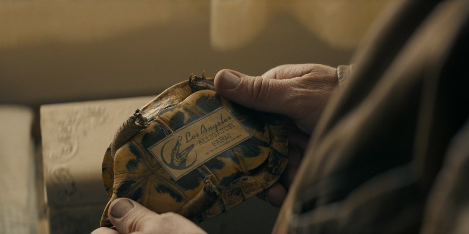 Screenshot from Perry Mason, Mason holds a taxidermy turtle, on the stomach of the turtle is a paper label with an alligator image and script reading "Los Angeles Alligator Farm"