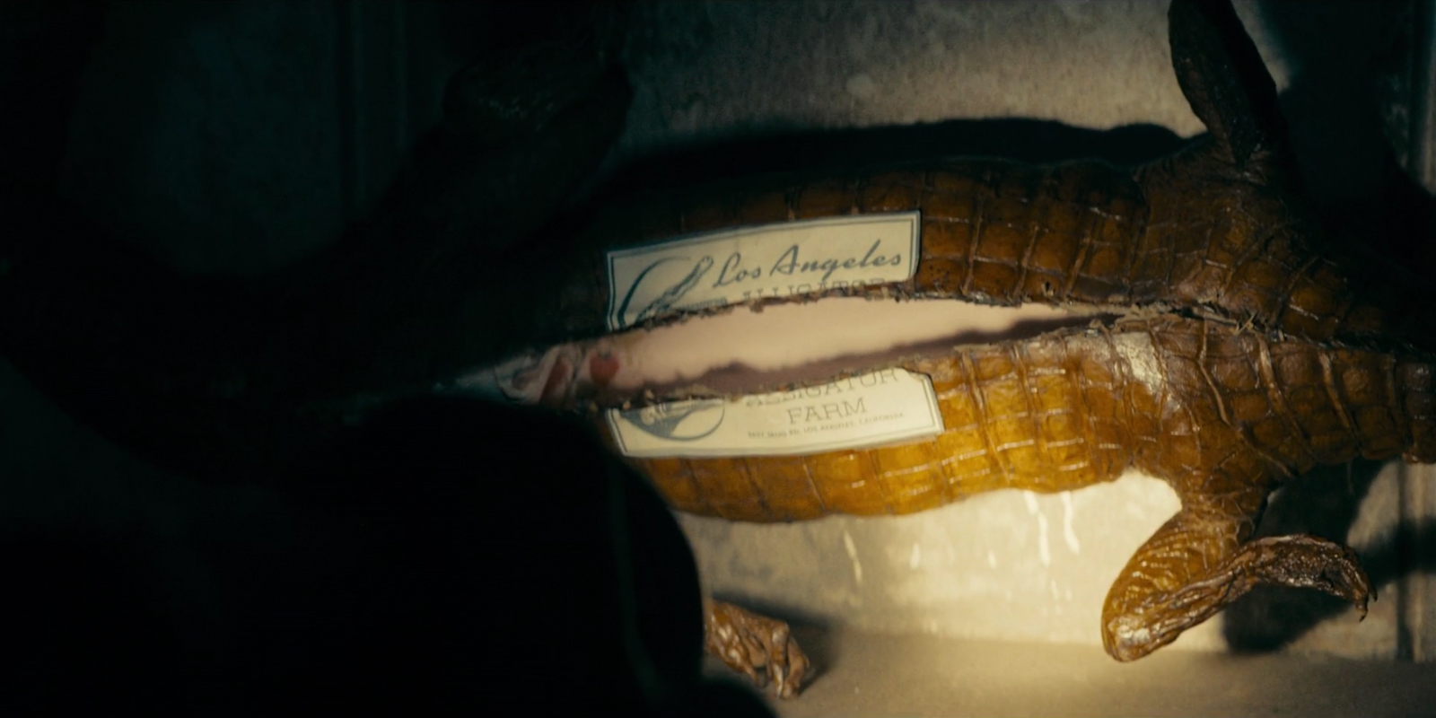 Screenshot from Perry Mason, Mason holds a small taxidermy gator, the stomach of the gator is cut open, and the paper label with an alligator image and script reading "Los Angeles Alligator Farm" is sliced open, letters are hidden inside of the gator.