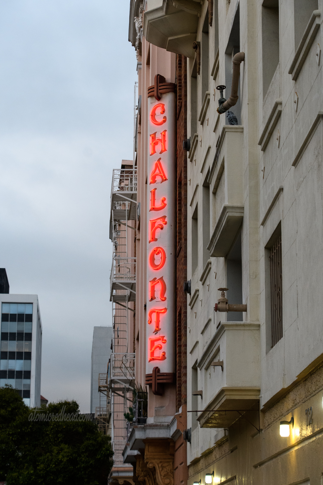 A blade style neon sign juts from an apartment building reading "Chalfonte" in red.