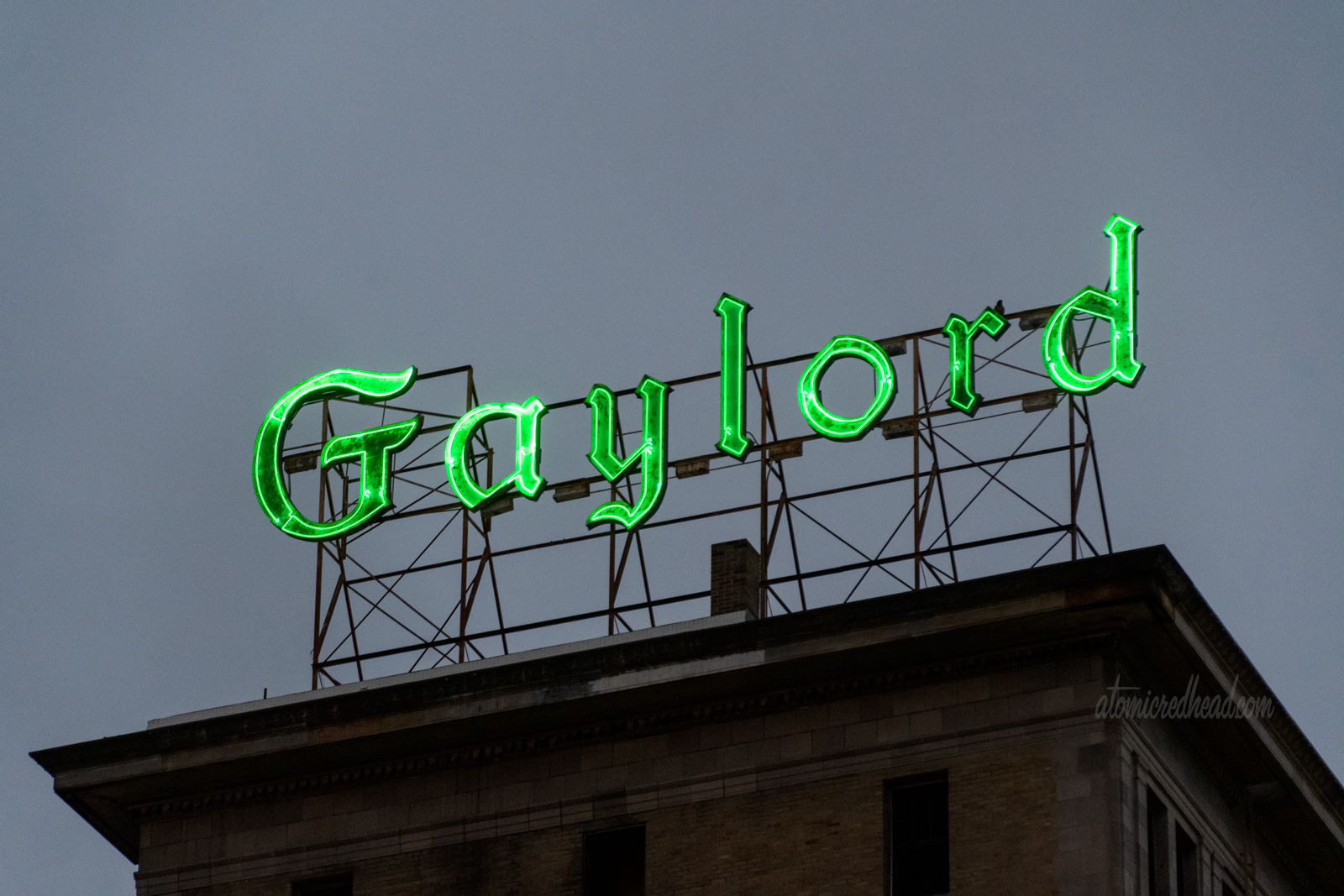 Gothic letters of green neon spell out "Gaylord" atop a building.