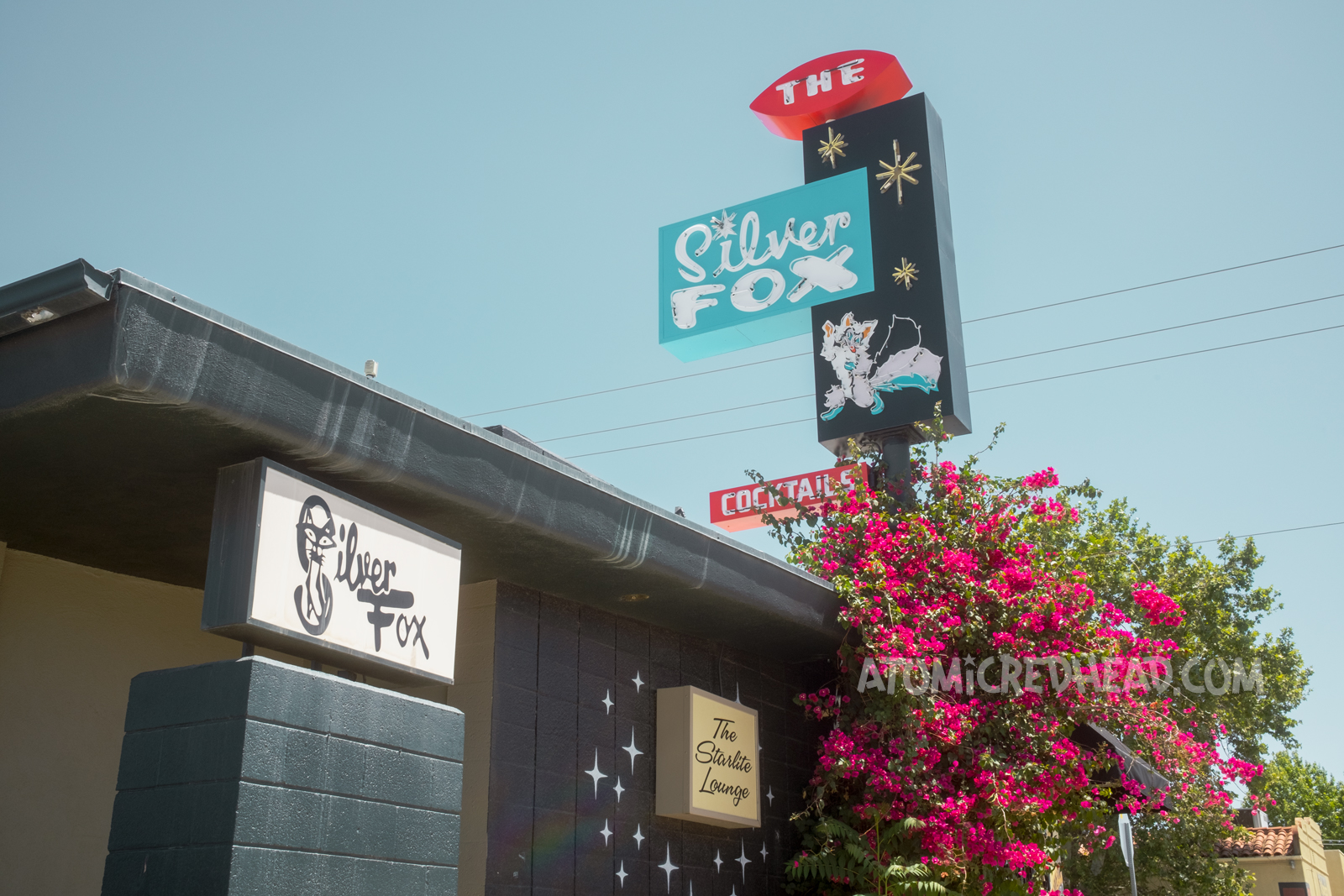 The black building of the Silver Fox. Atop the roof sits a sign of black, red, and blue, reading "The Silver Fox" featuring a neon fox. Two backlit plastic signs reside on the side of the building, one reads "Silver Fox" the other reads "Starlite Lounge"