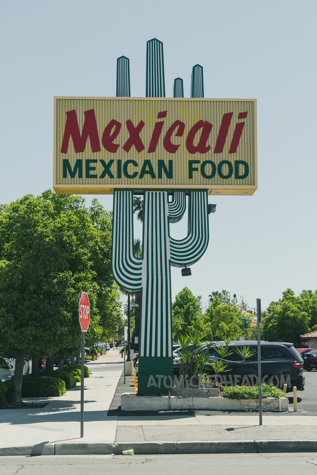 A large backlit plastic cactus rises toward a blue sky. A yellow rectangle crosses the cactus reading "Mexicali Mexican Food"