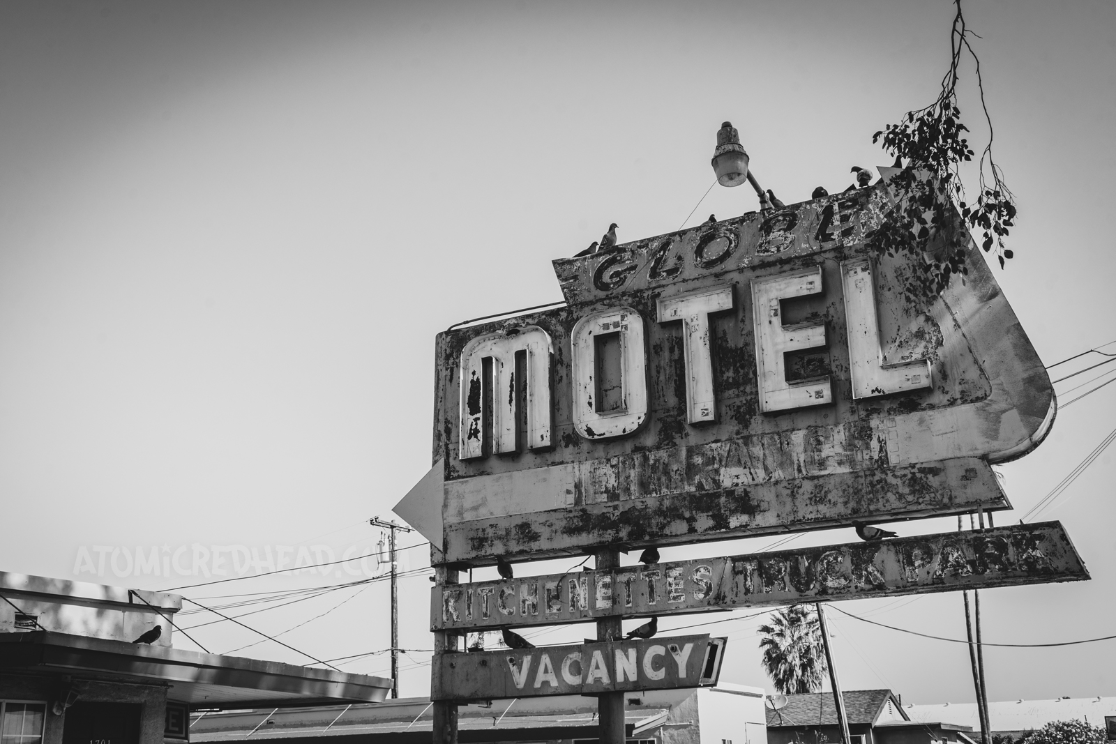 Black and white photo of the sign for the Globe Motel. Pigeons have made the sign their home, with a variety of them sitting atop. A faded and flaking arrow points toward the rooftops of the motorcourt style motel.