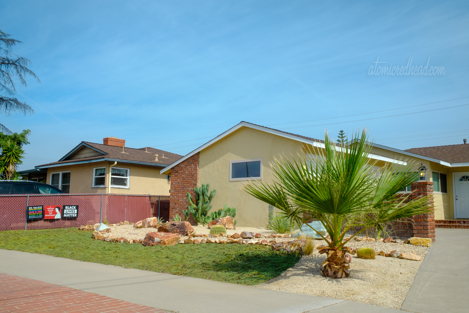 View of our yard, a palm tree sits in the lower right, and a desert landscape stretches back toward the house with rocks and cacti.