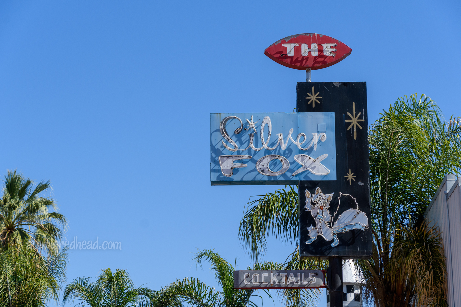 Neon sign for The Silver Fox, which features an adorable fox made of neon.