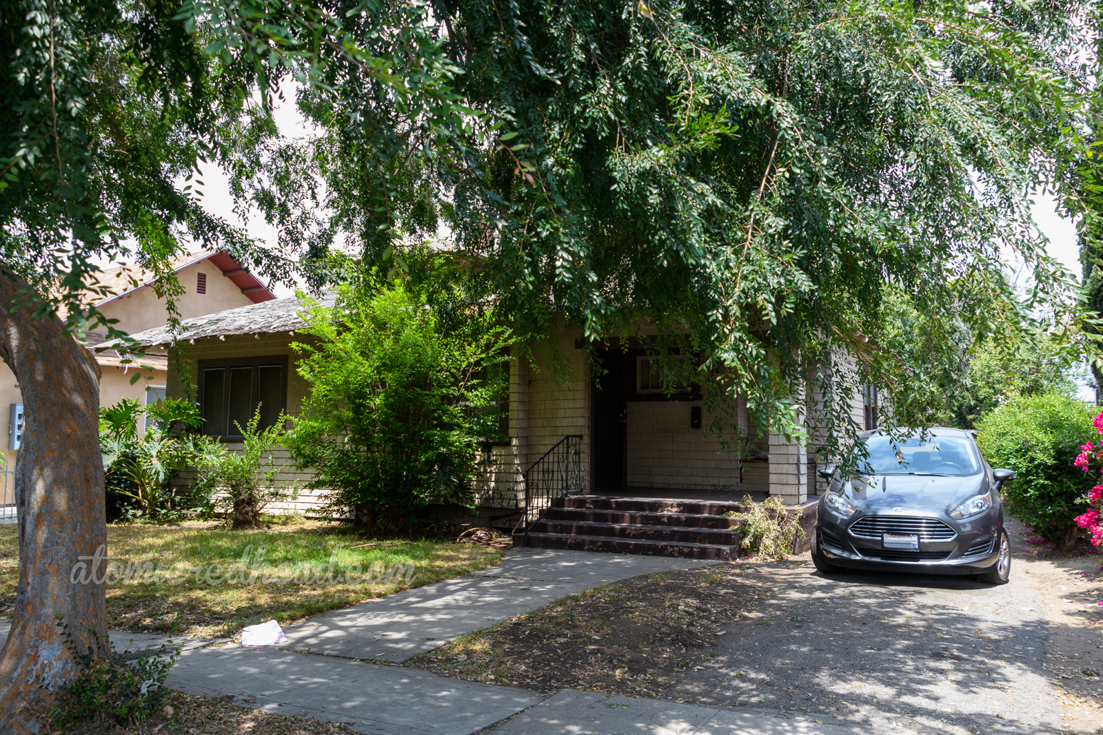 A light brown California Craftsman house sits behind a tree.