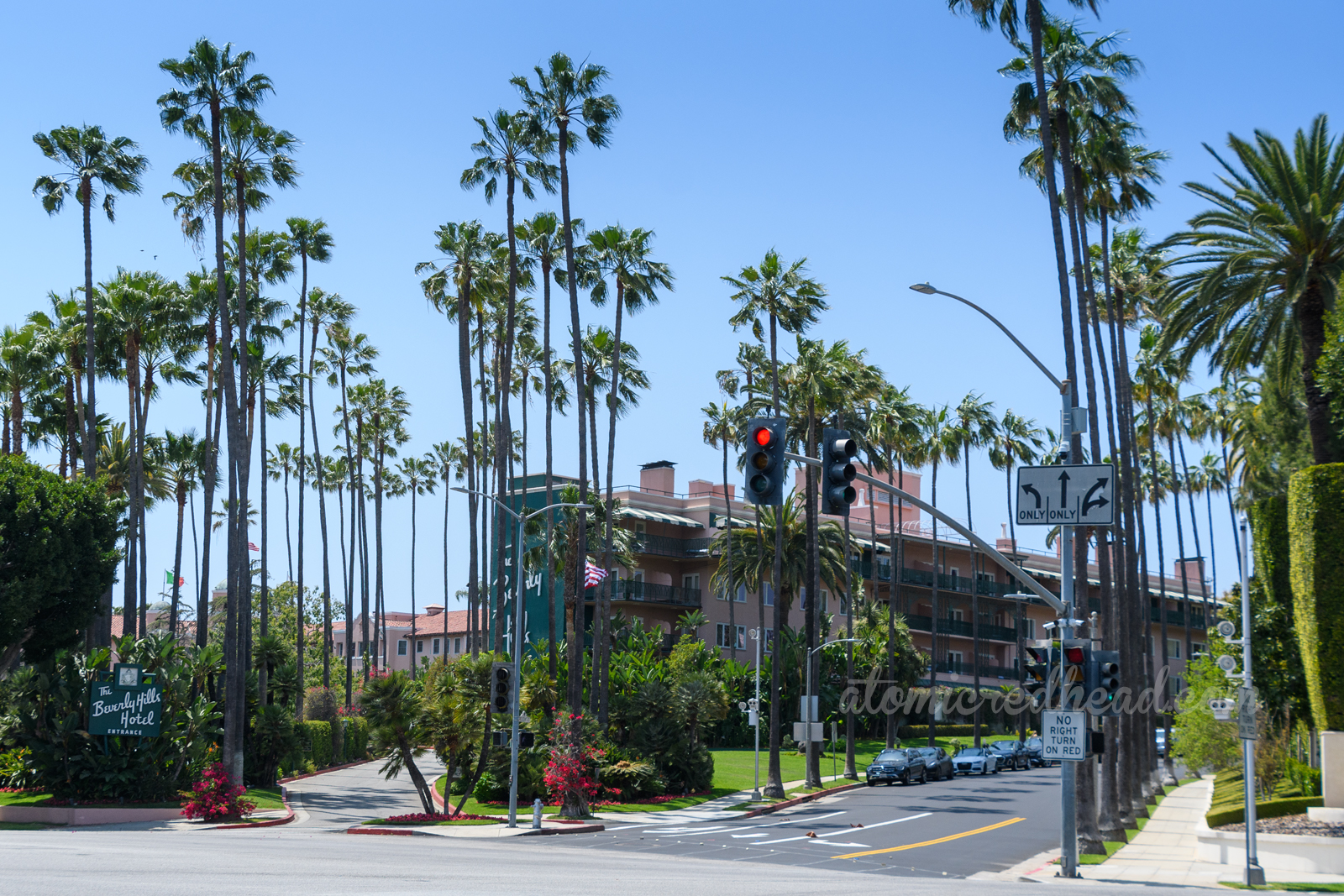 The pink and green Beverly Hills Hotel sits behind a plethora of tall palm trees.