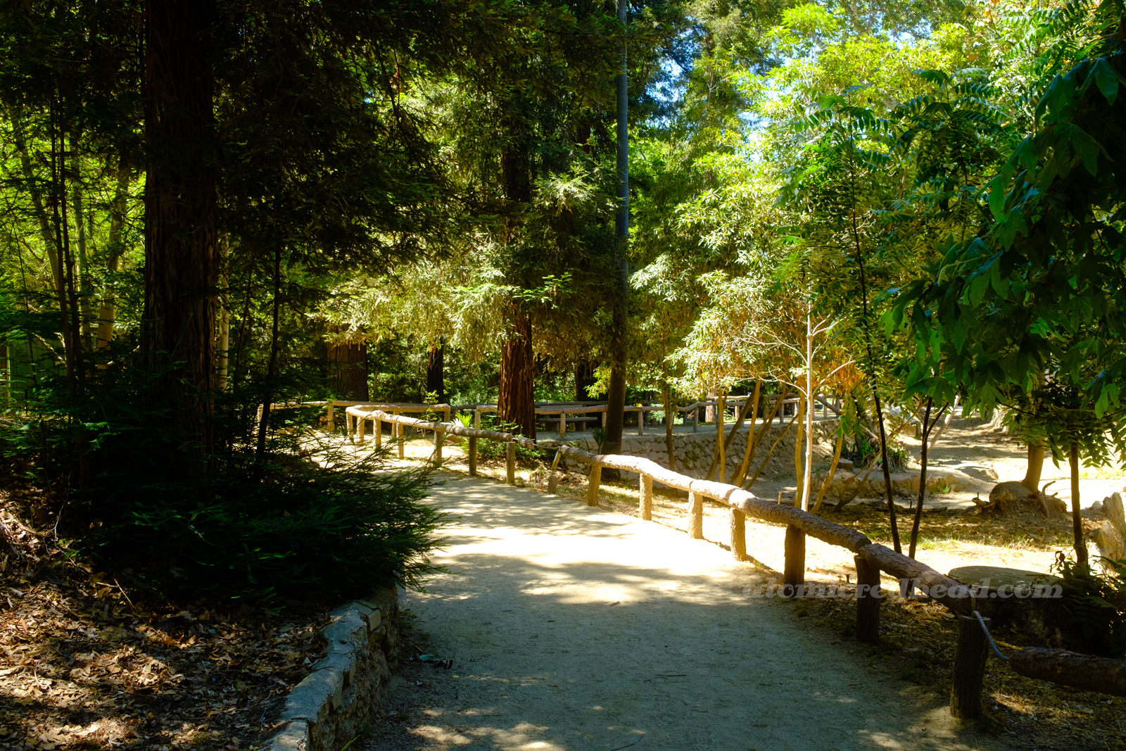 Tall trees provide shade over a pathway featuring faux wood railings.
