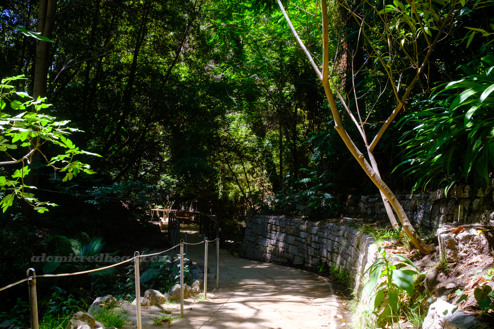 A stone wall holds up a variety of trees that loom over a pathway along a stream.
