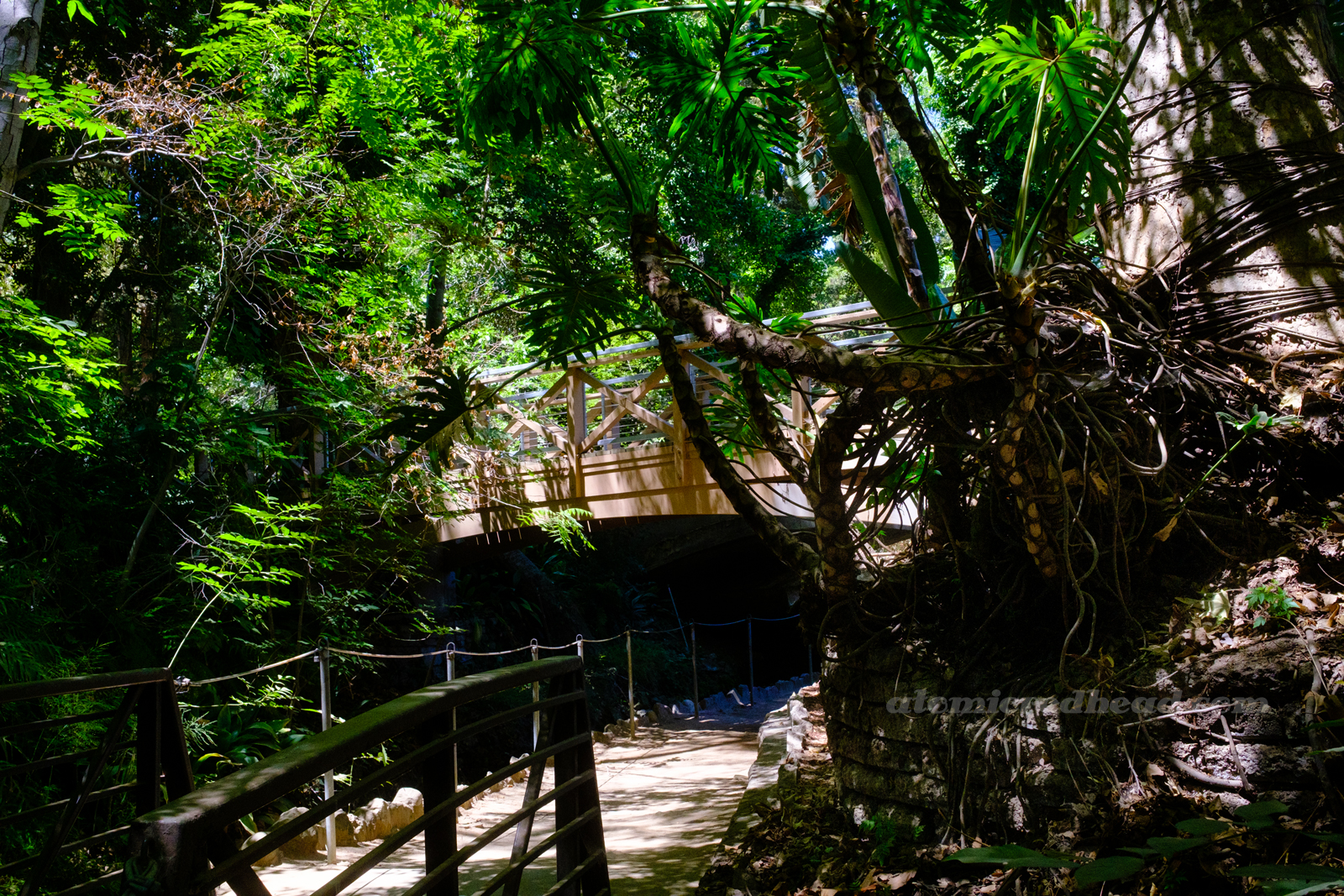 A bridge crosses above a pathway that is lined by greenery on either side.