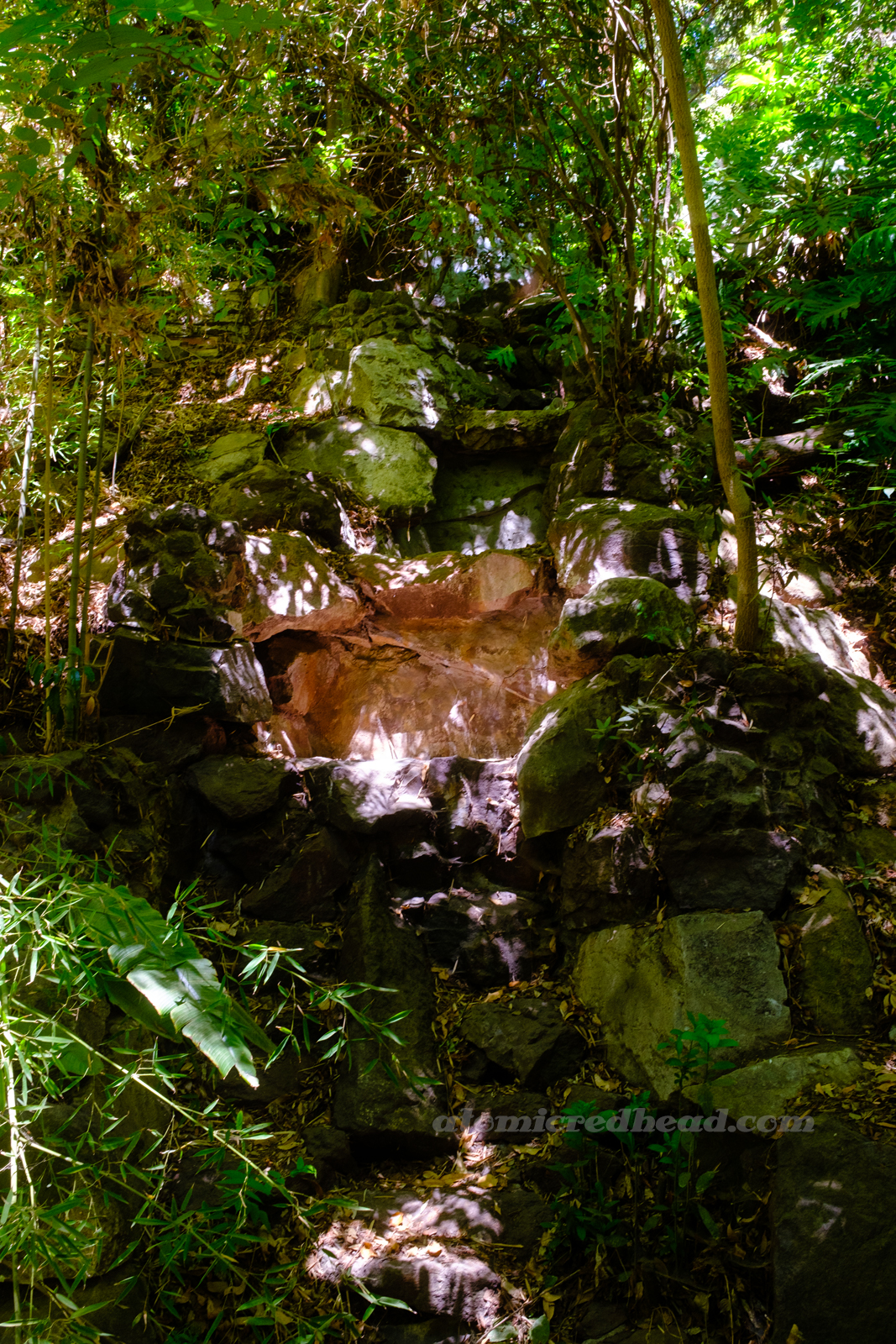 A small waterfall cascades over rocks that are surrounded by ferns.