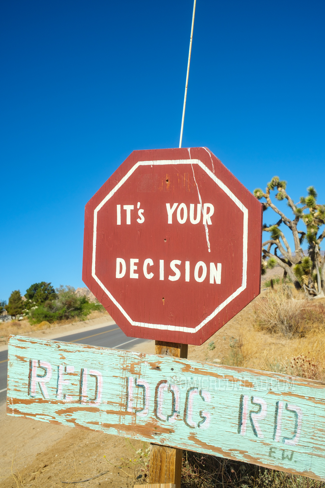 A red hexagon shaped sign reads "It's Your Decision" and a seafoam sign below reads "Red Dog Rd."